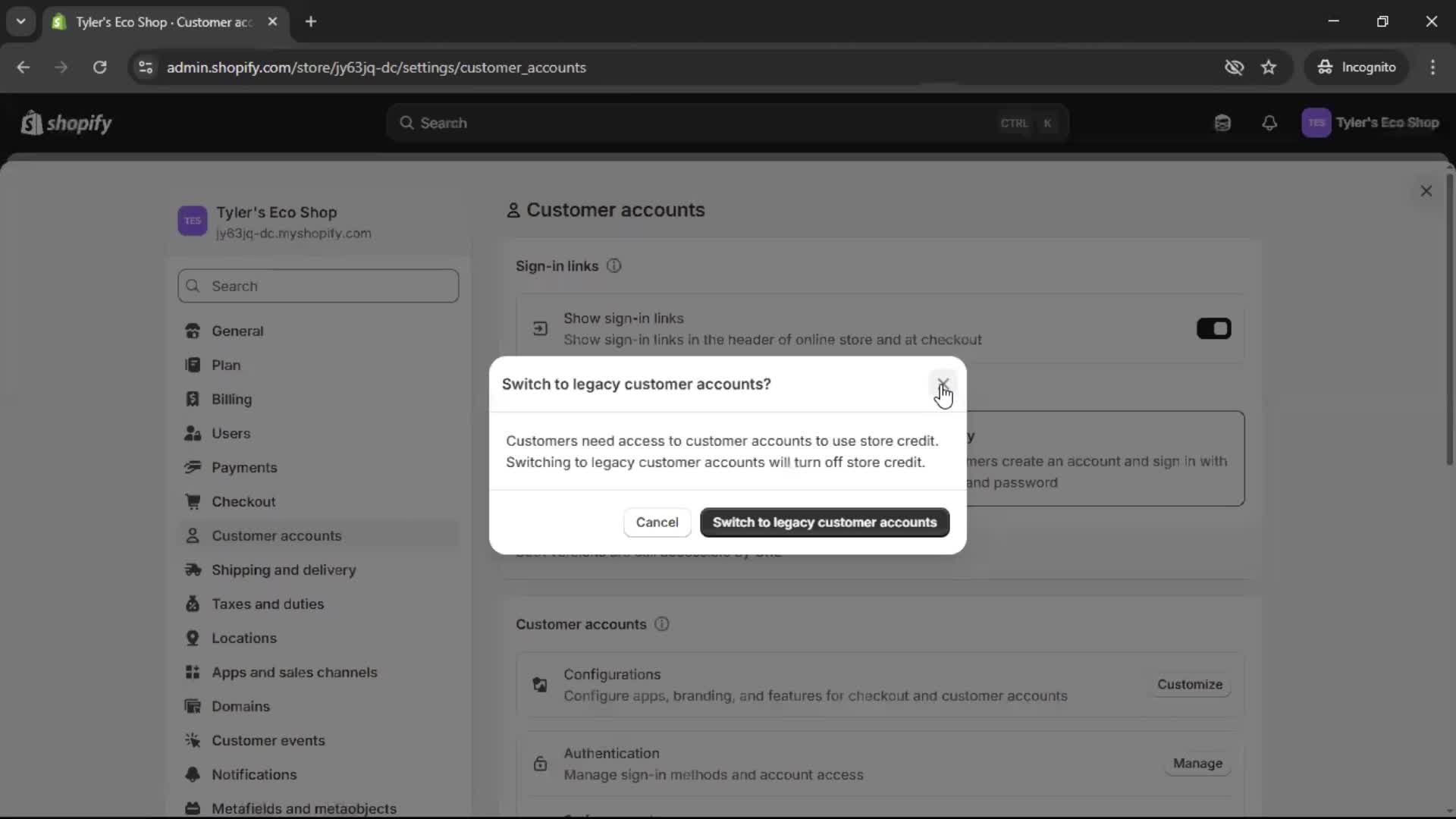 General browsing on Shopify video thumbnail