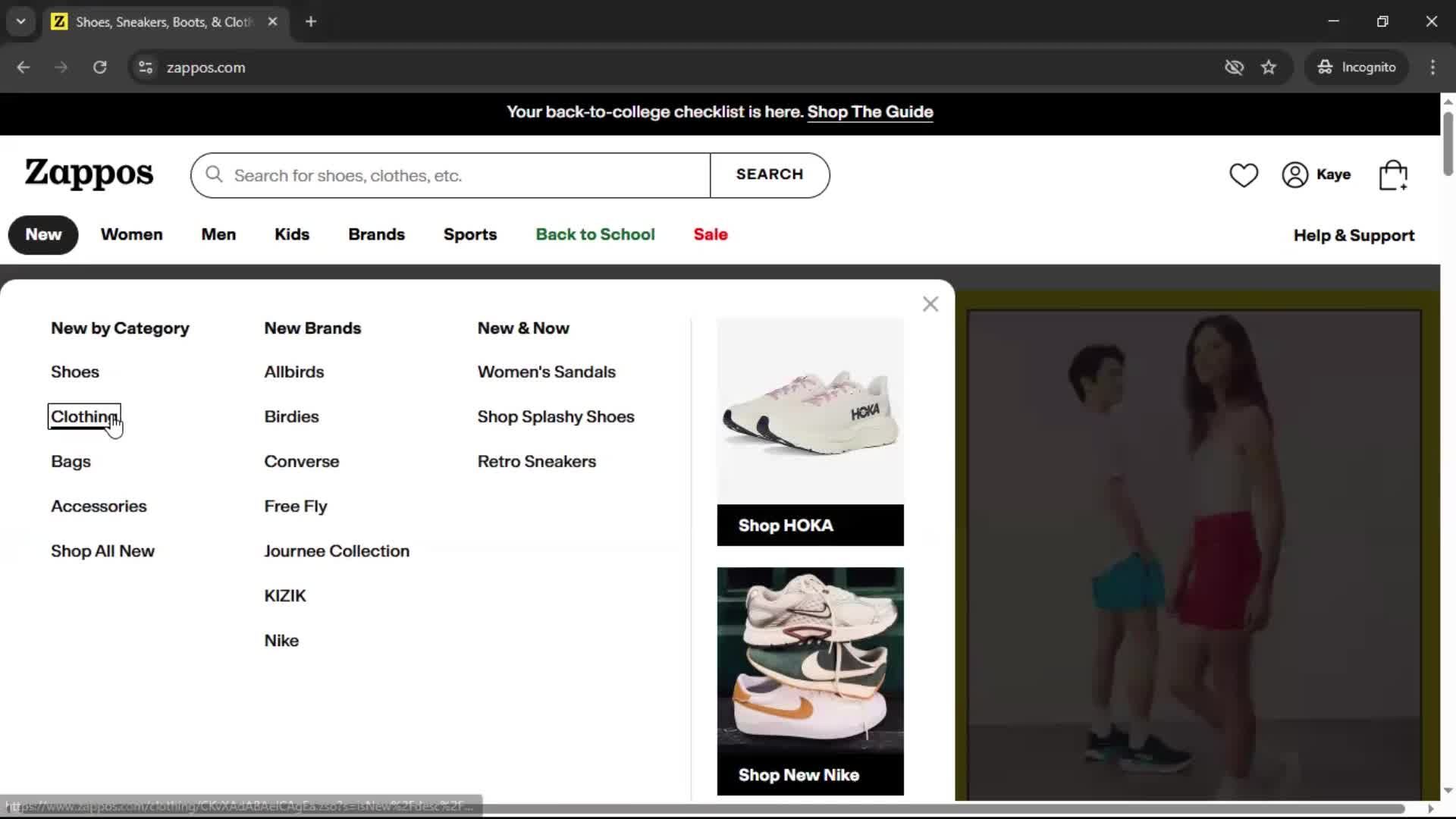 General browsing on Zappos video thumbnail