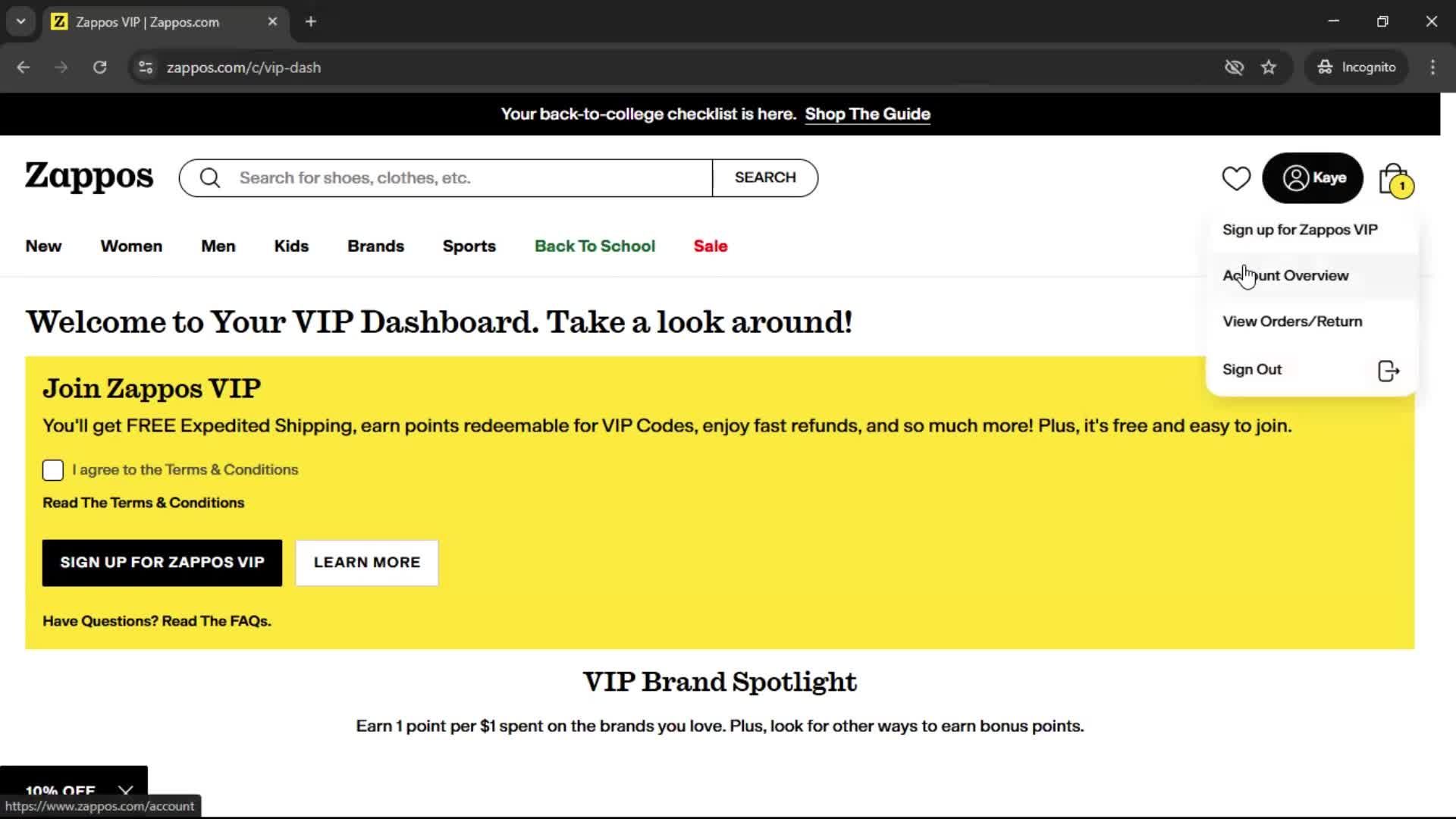 General browsing on Zappos video thumbnail