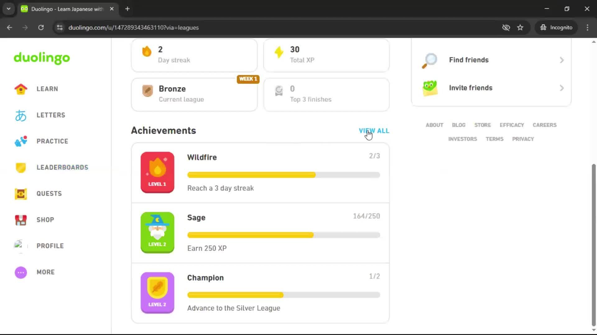 Leaderboard screenshot