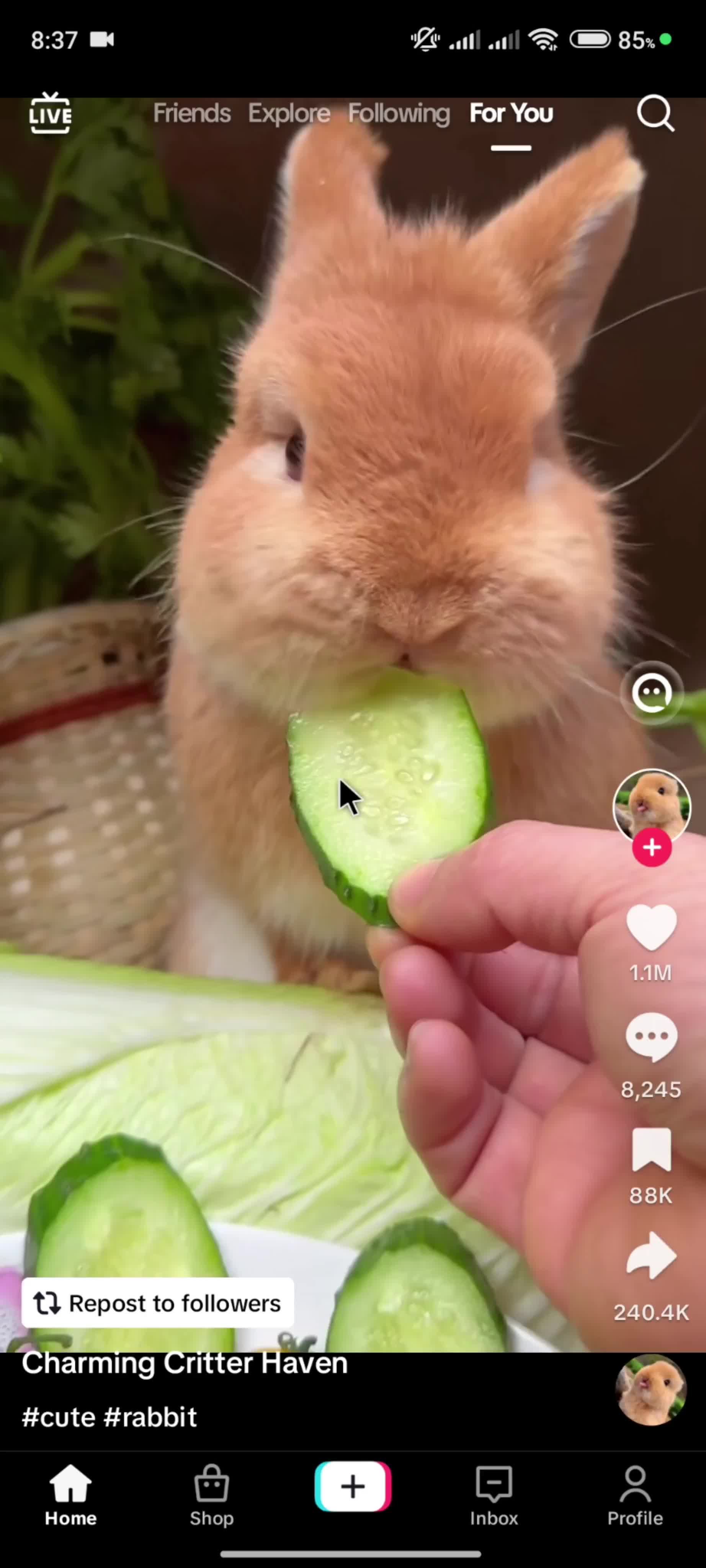 Liking posts on TikTok video thumbnail