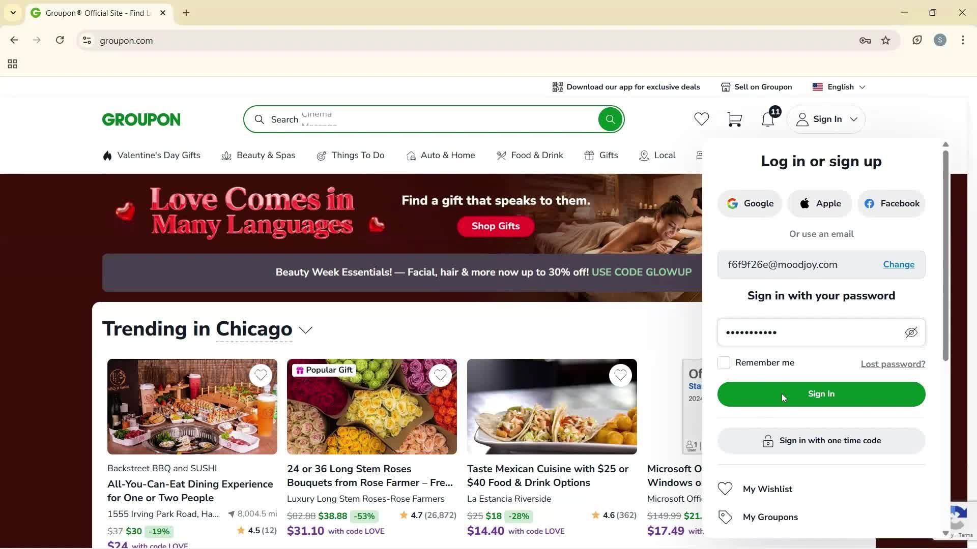 Logging in screenshot