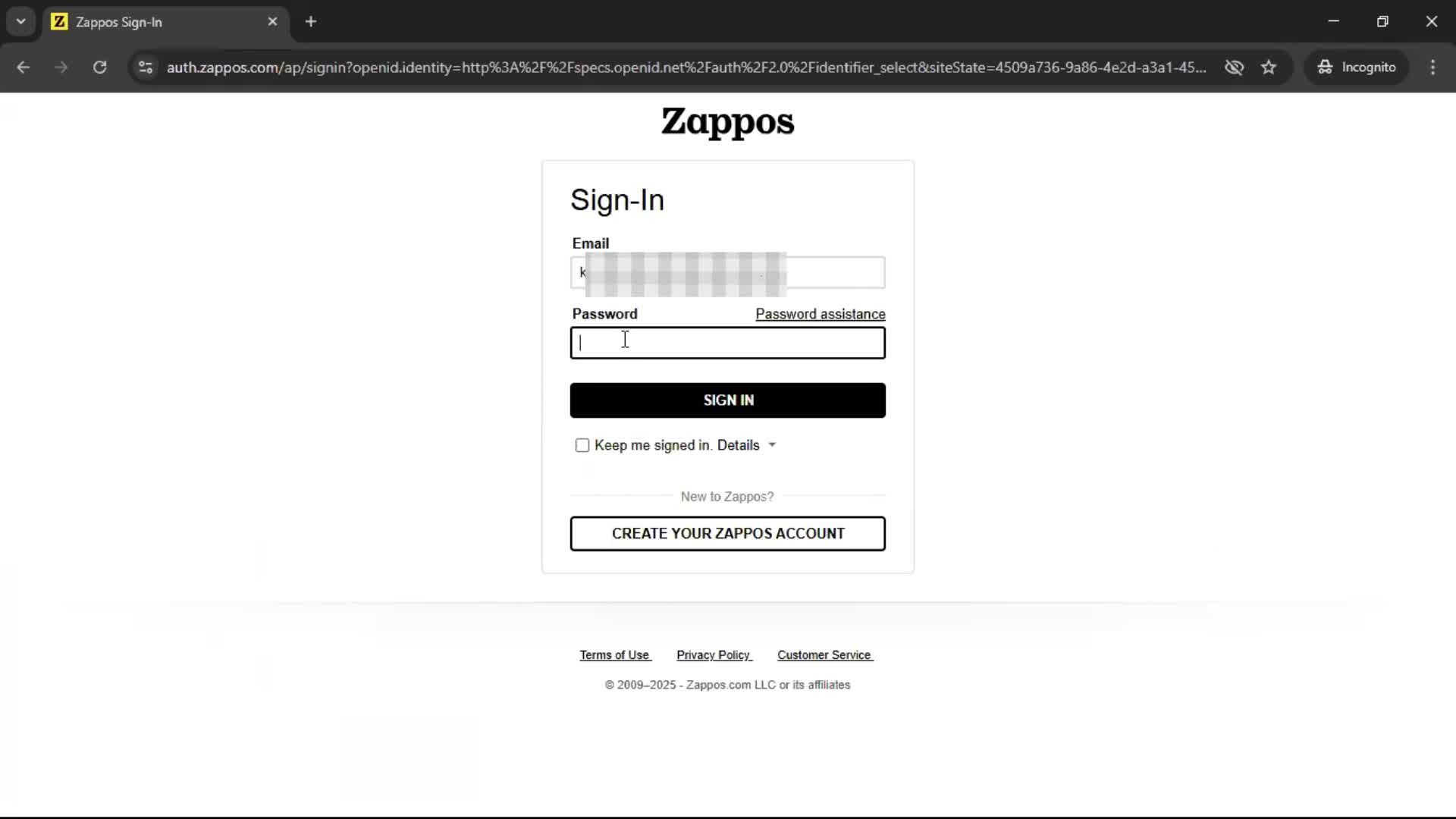 Logging in on Zappos video thumbnail