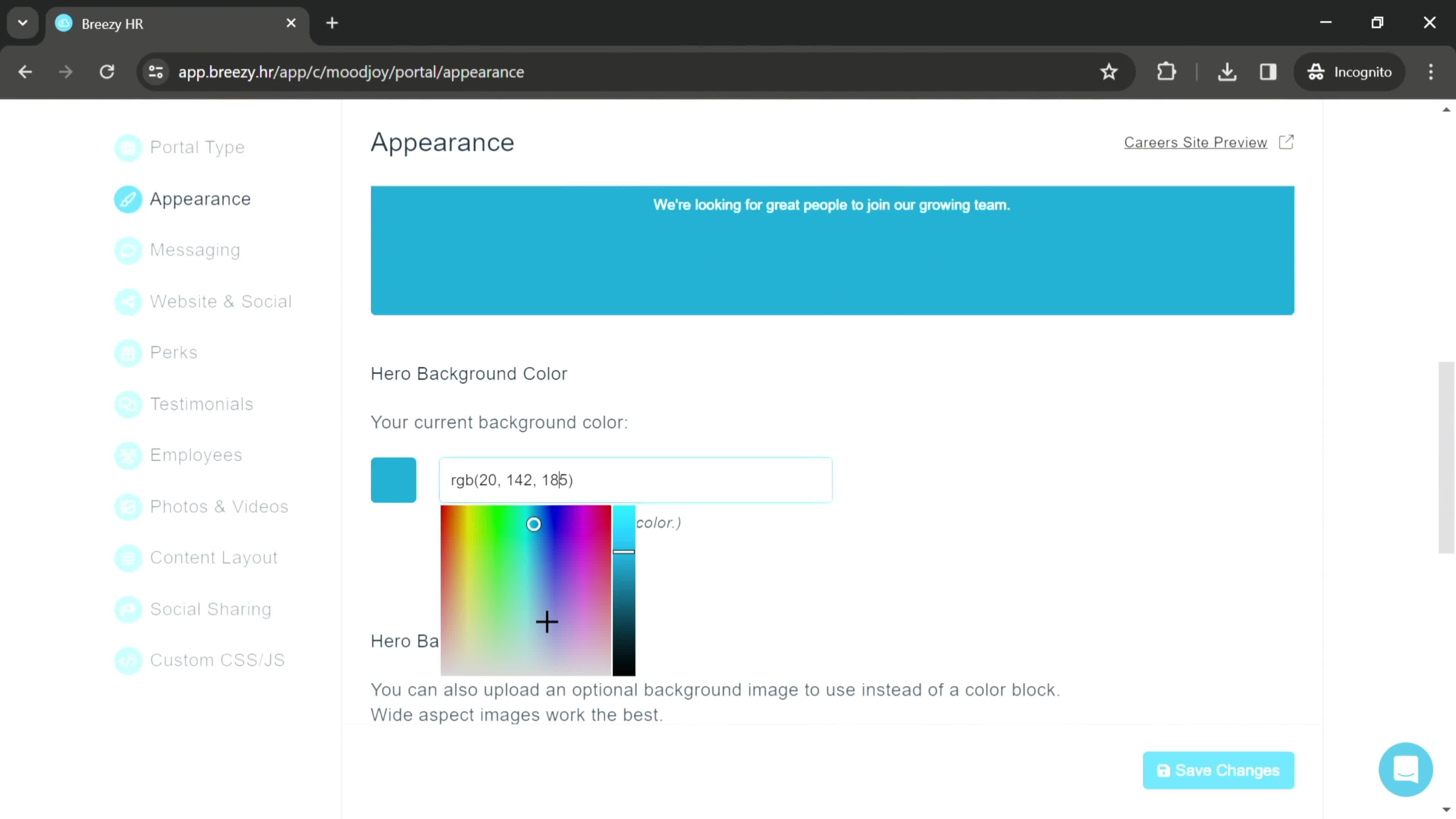 Careers site settings screenshot