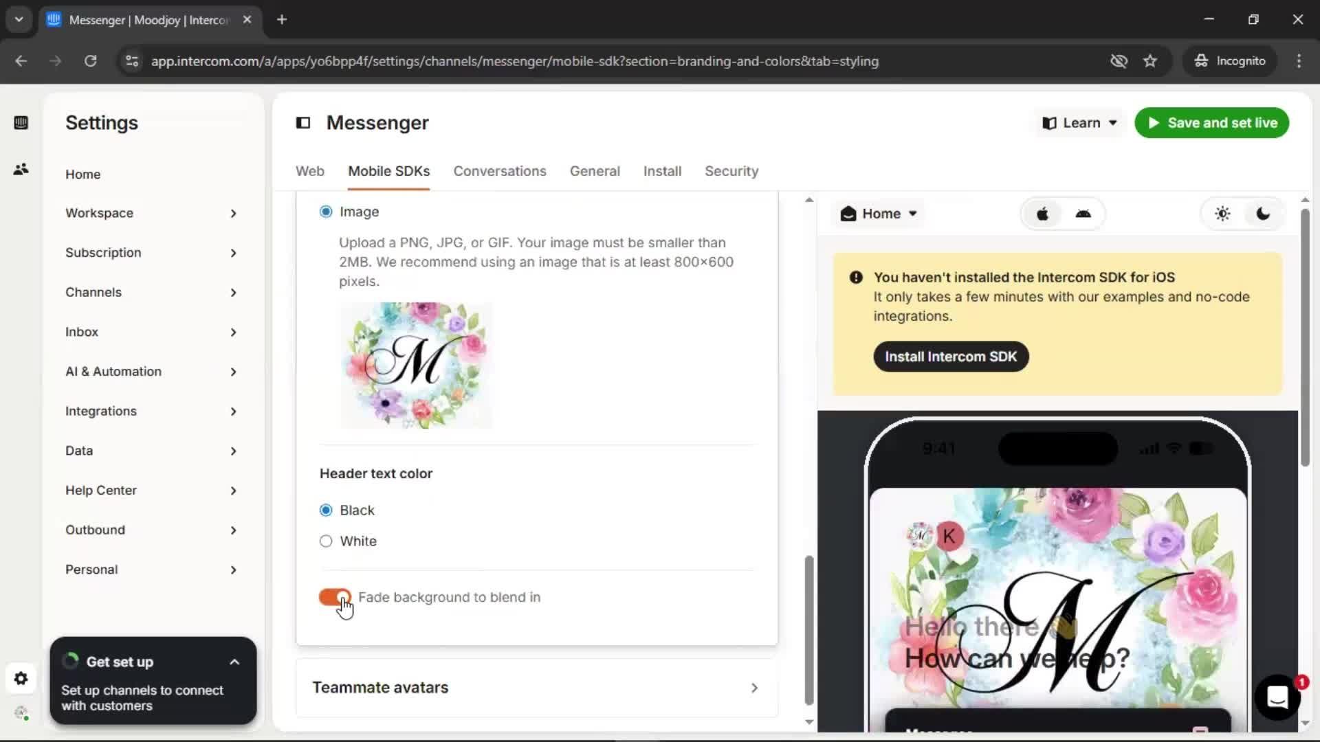 Messenger settings screenshot