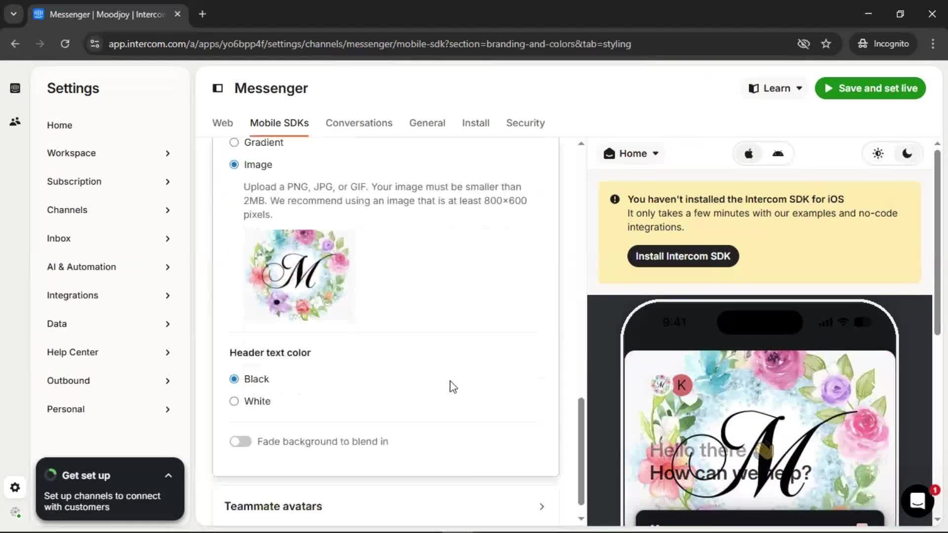 Messenger settings screenshot