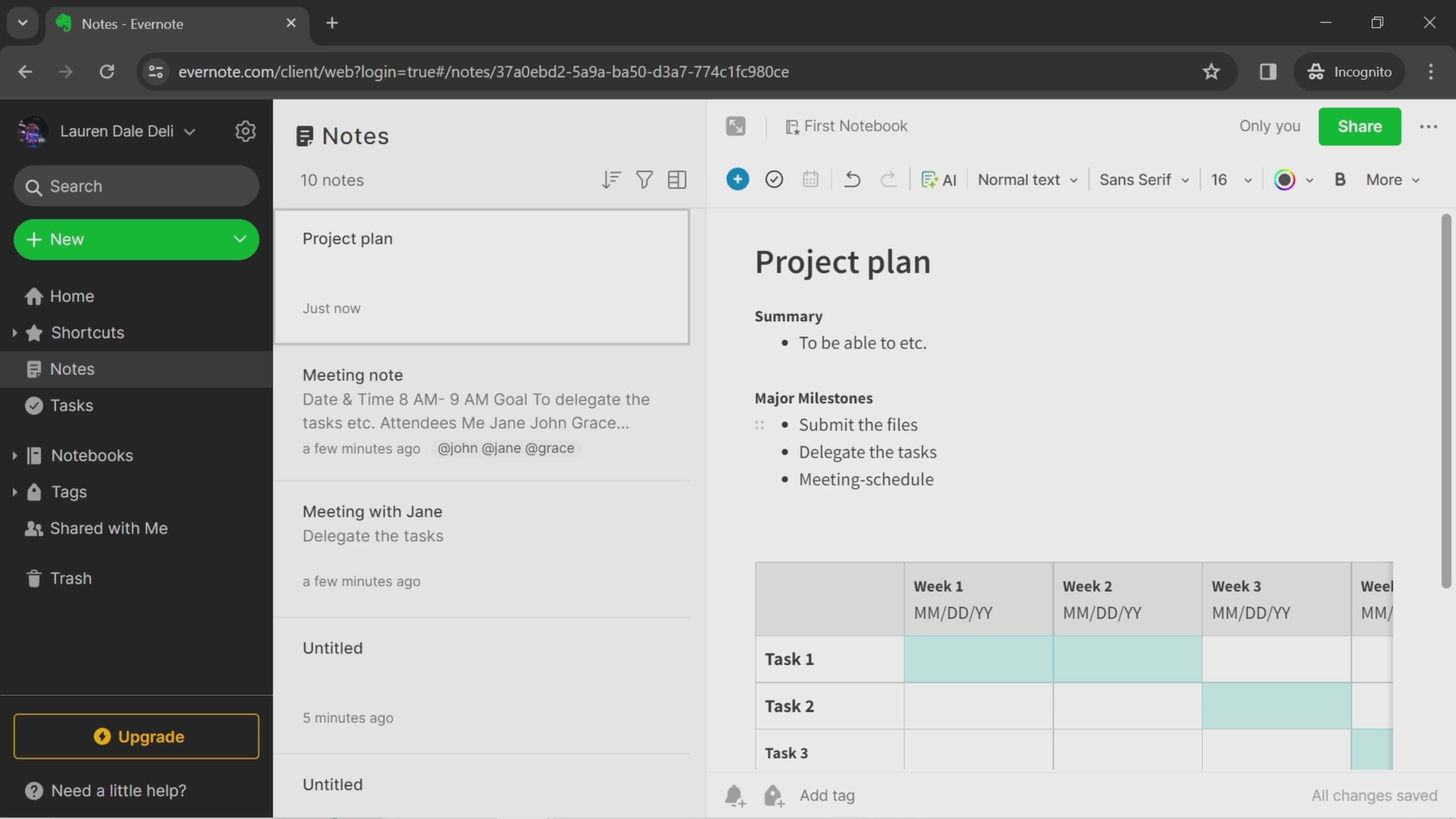 Project plan note screenshot