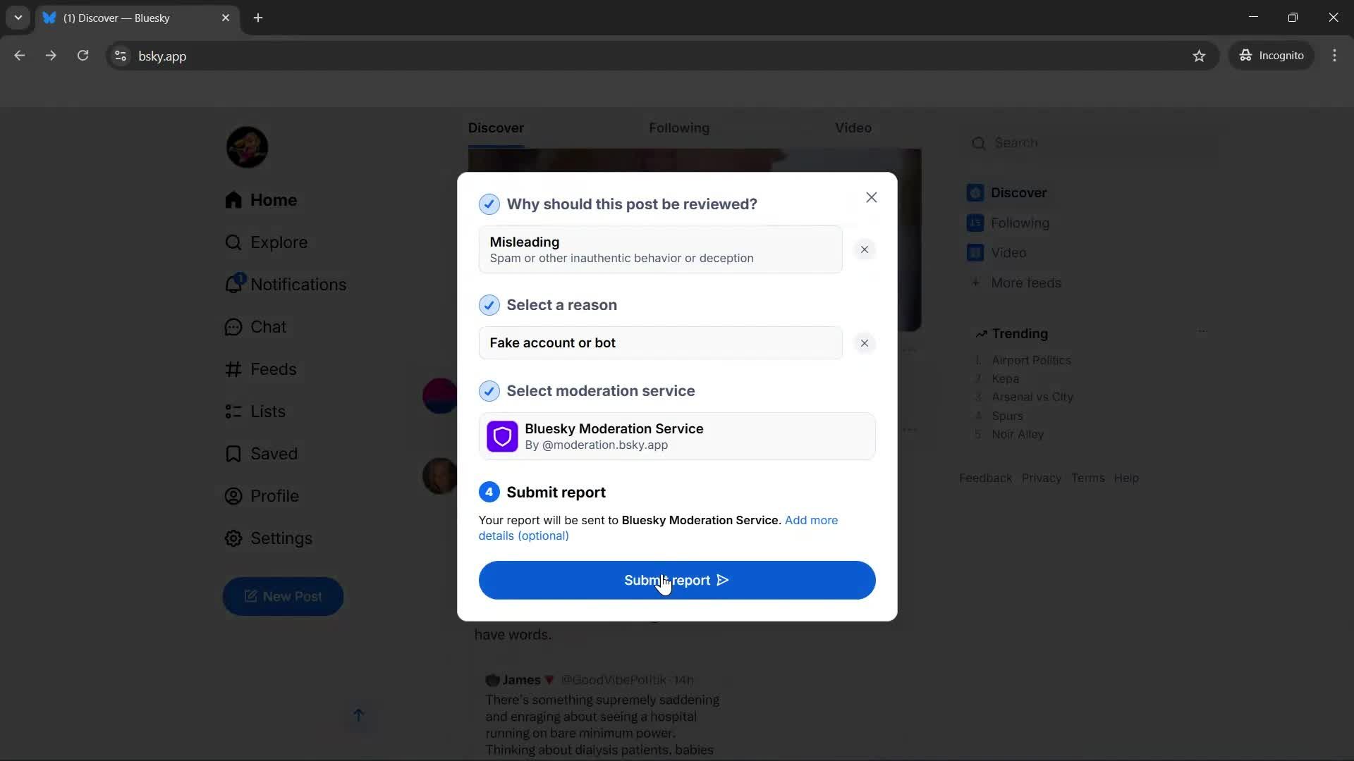 Reporting a post screenshot
