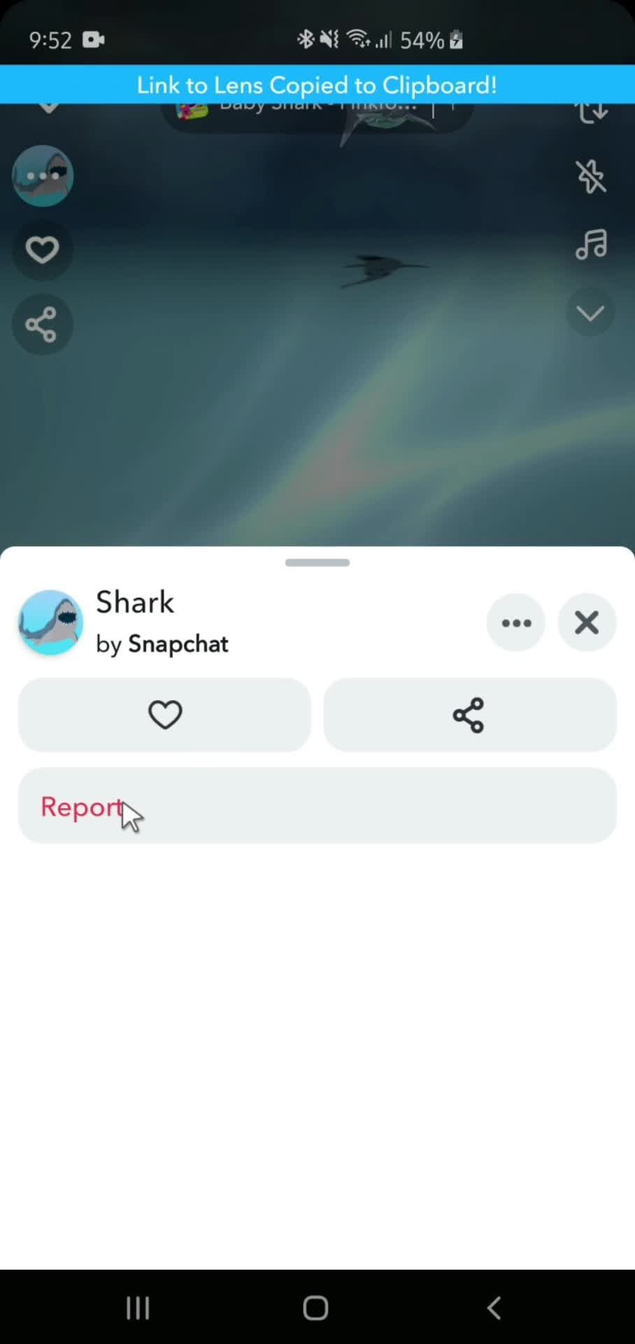 Reporting a snap screenshot