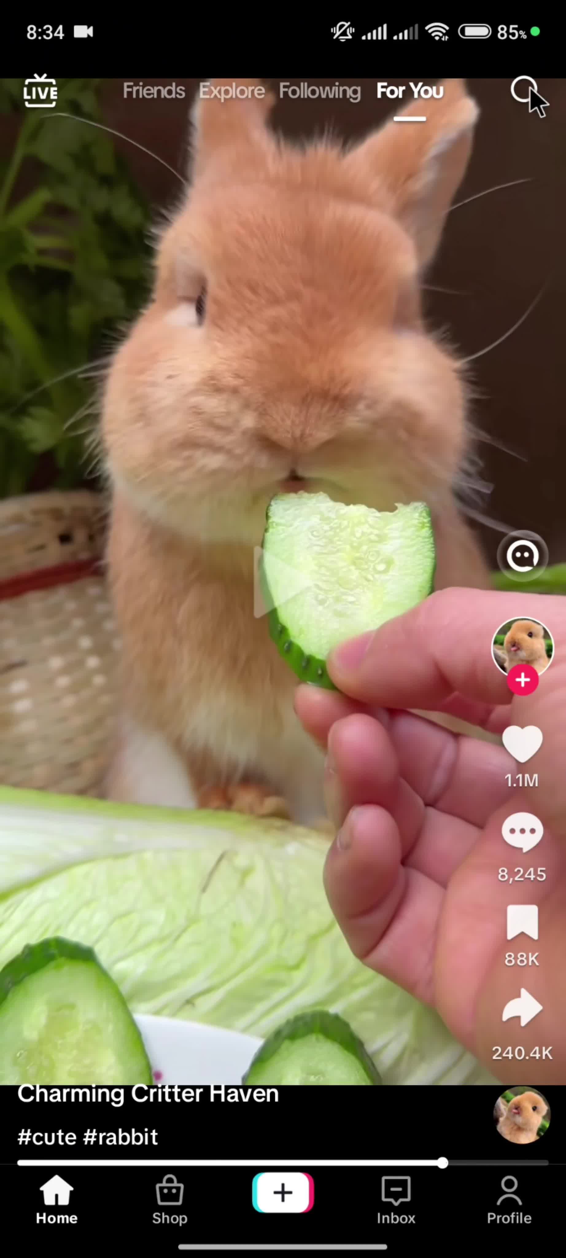 Searching on TikTok video thumbnail