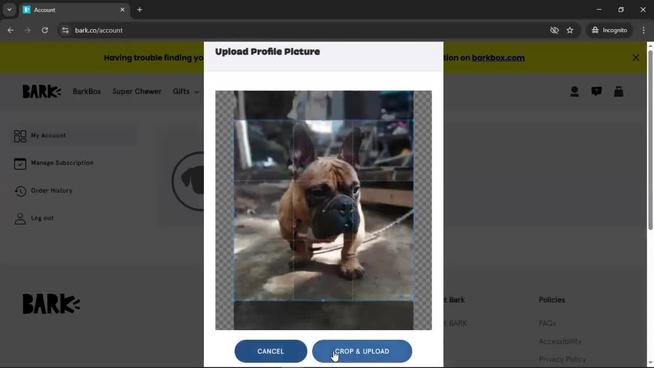 Updating profile picture screenshot