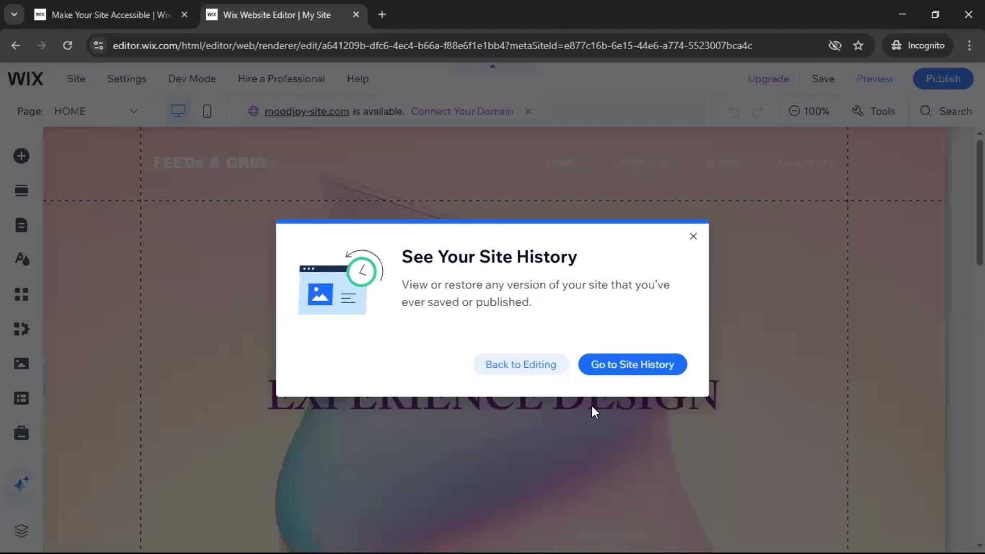Version history screenshot