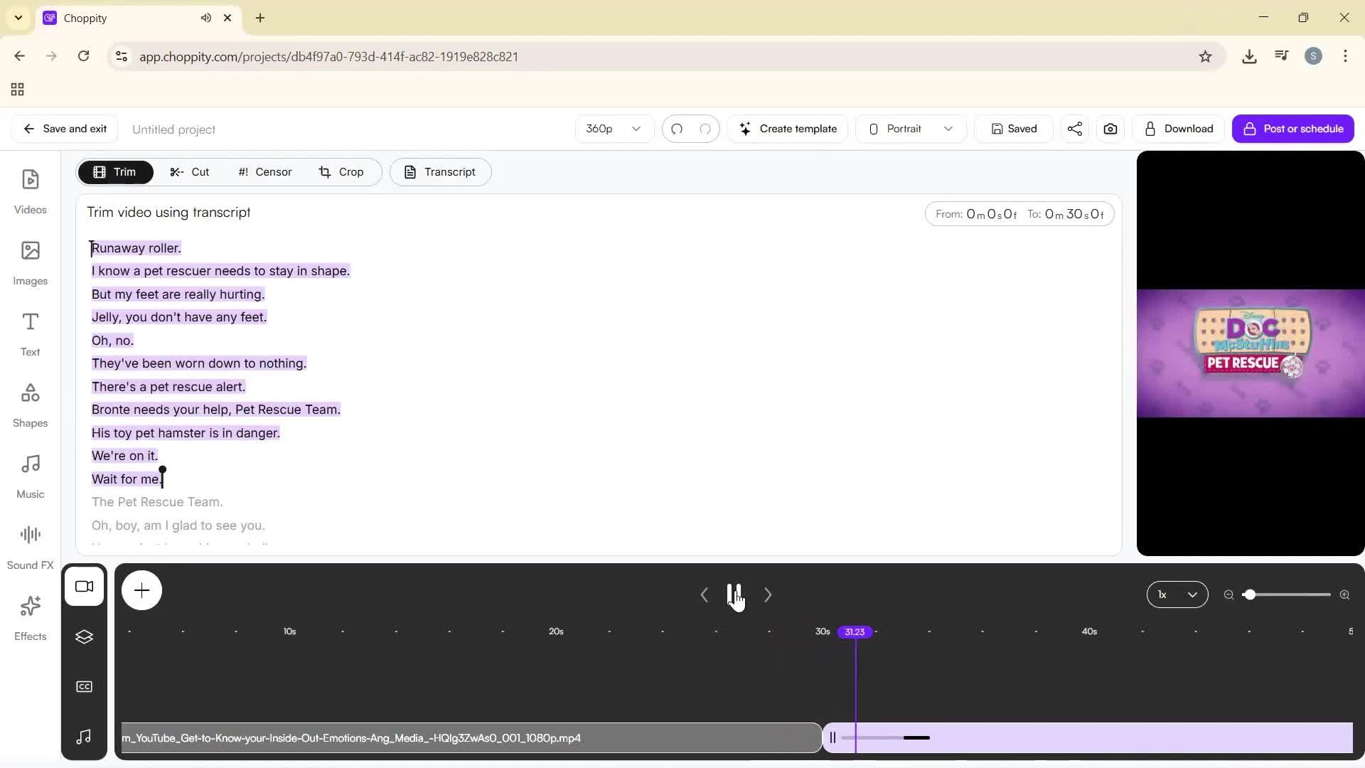 Creating a project screenshot