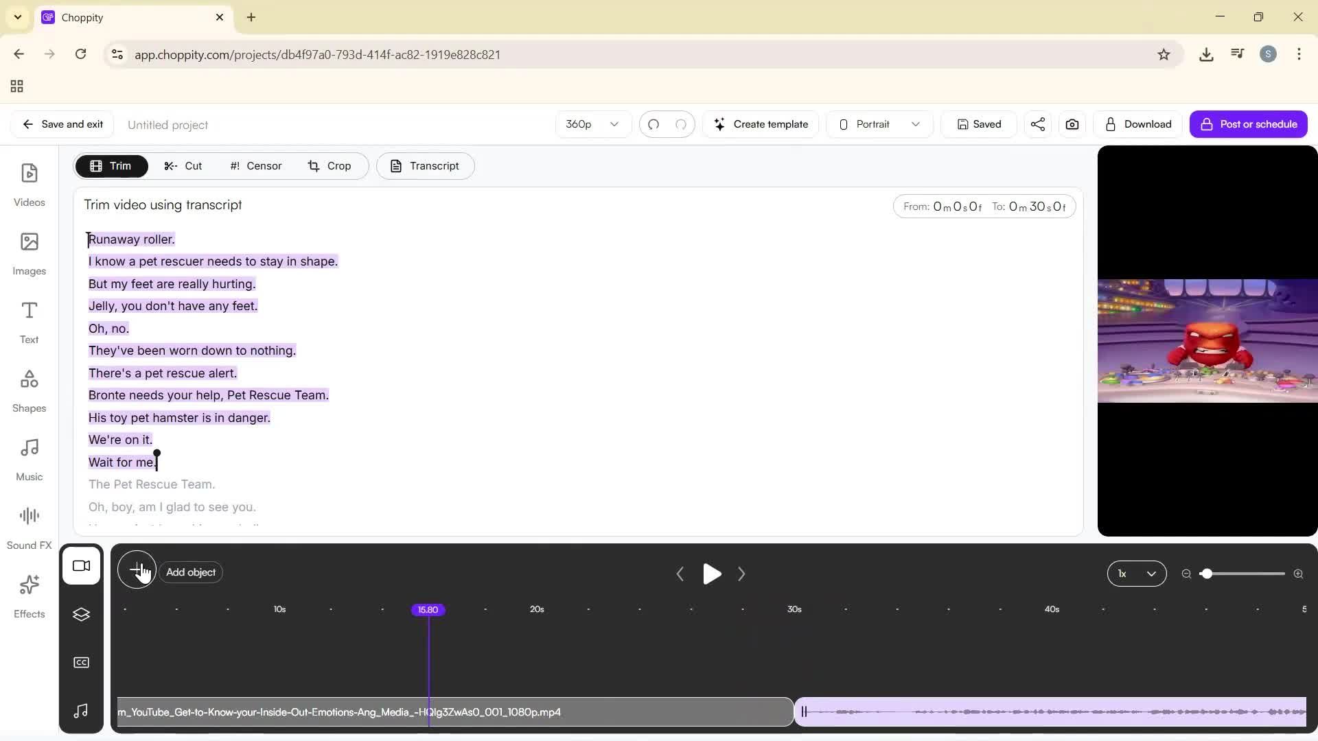 Creating a project screenshot