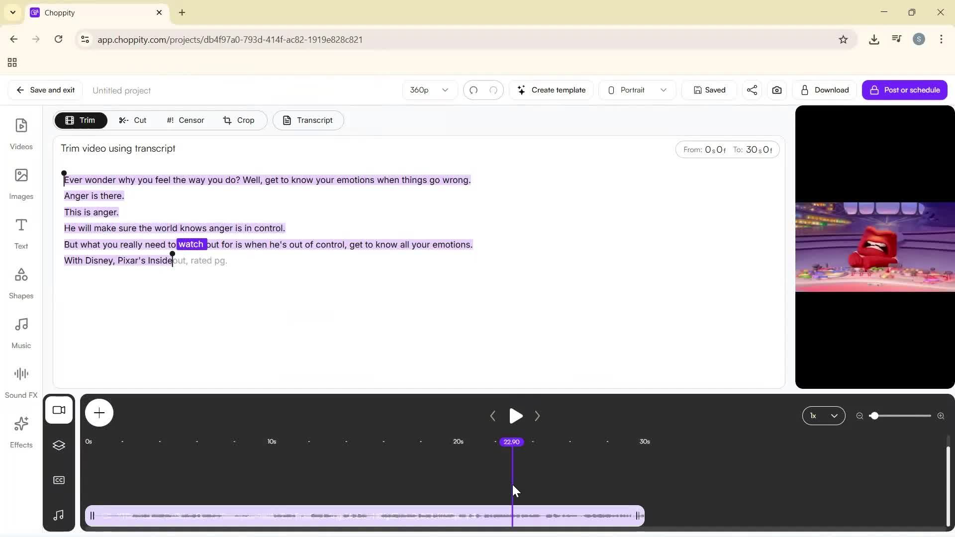 Creating a project screenshot