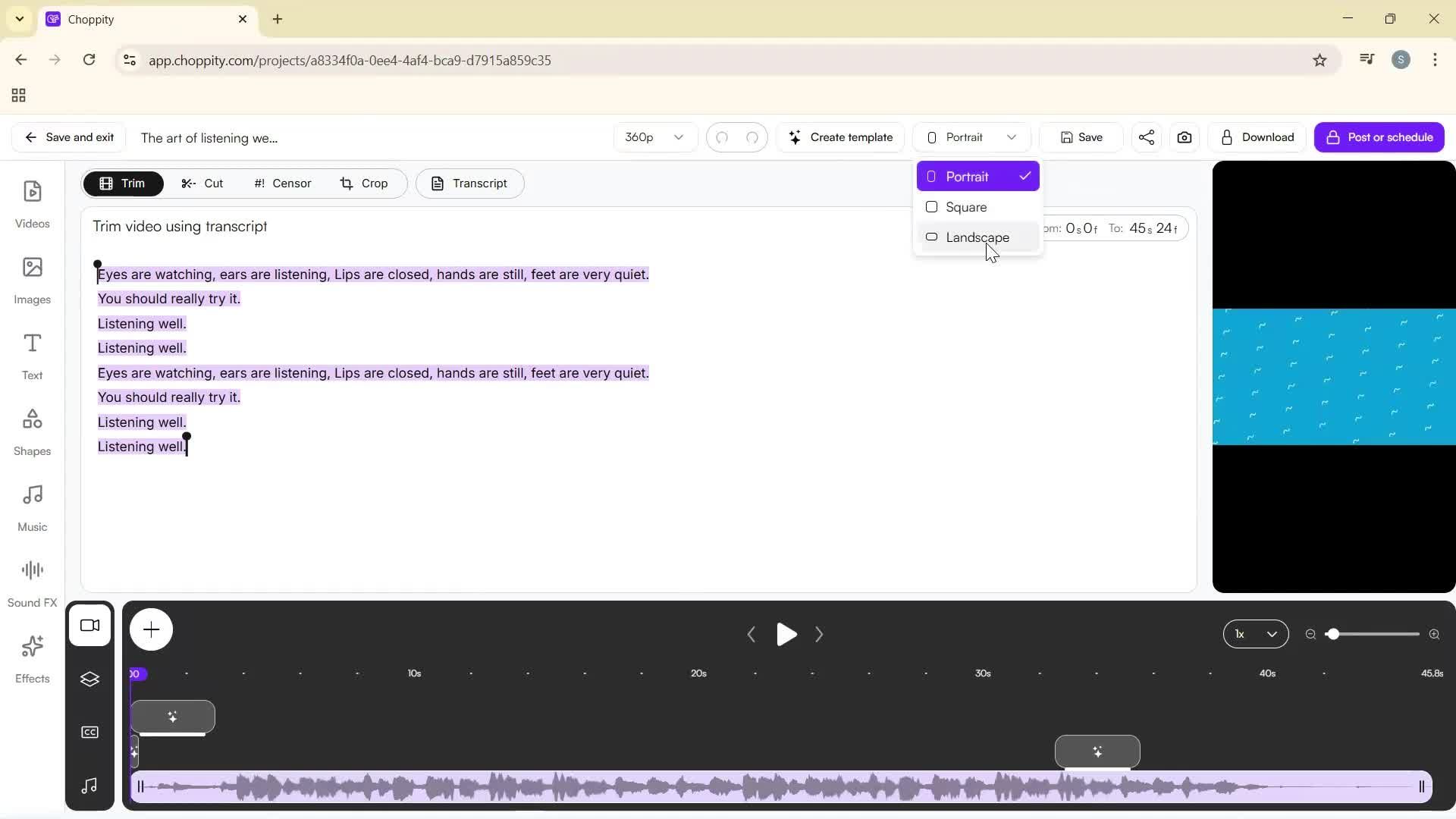 Editing a video screenshot