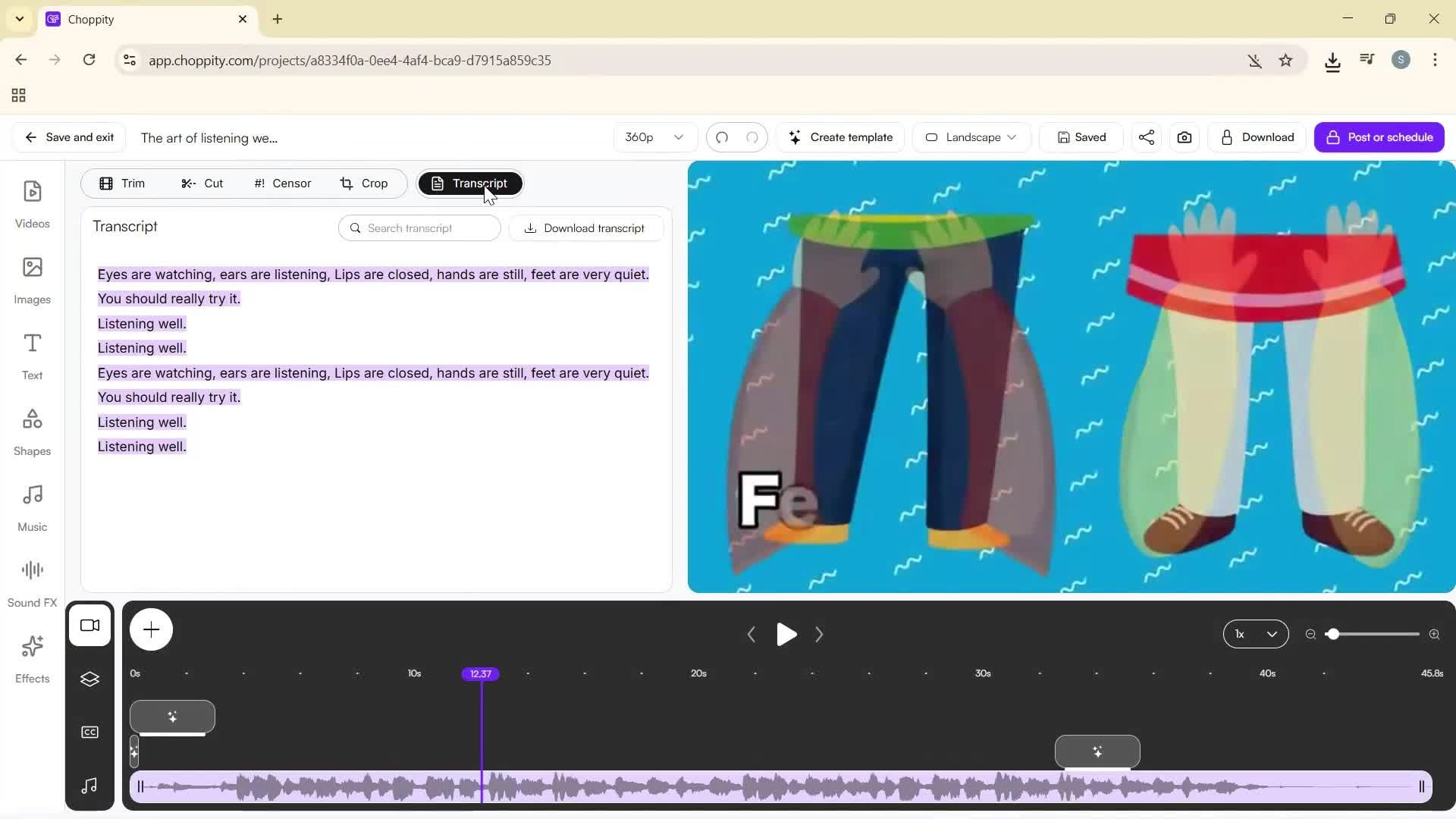 Editing a video screenshot