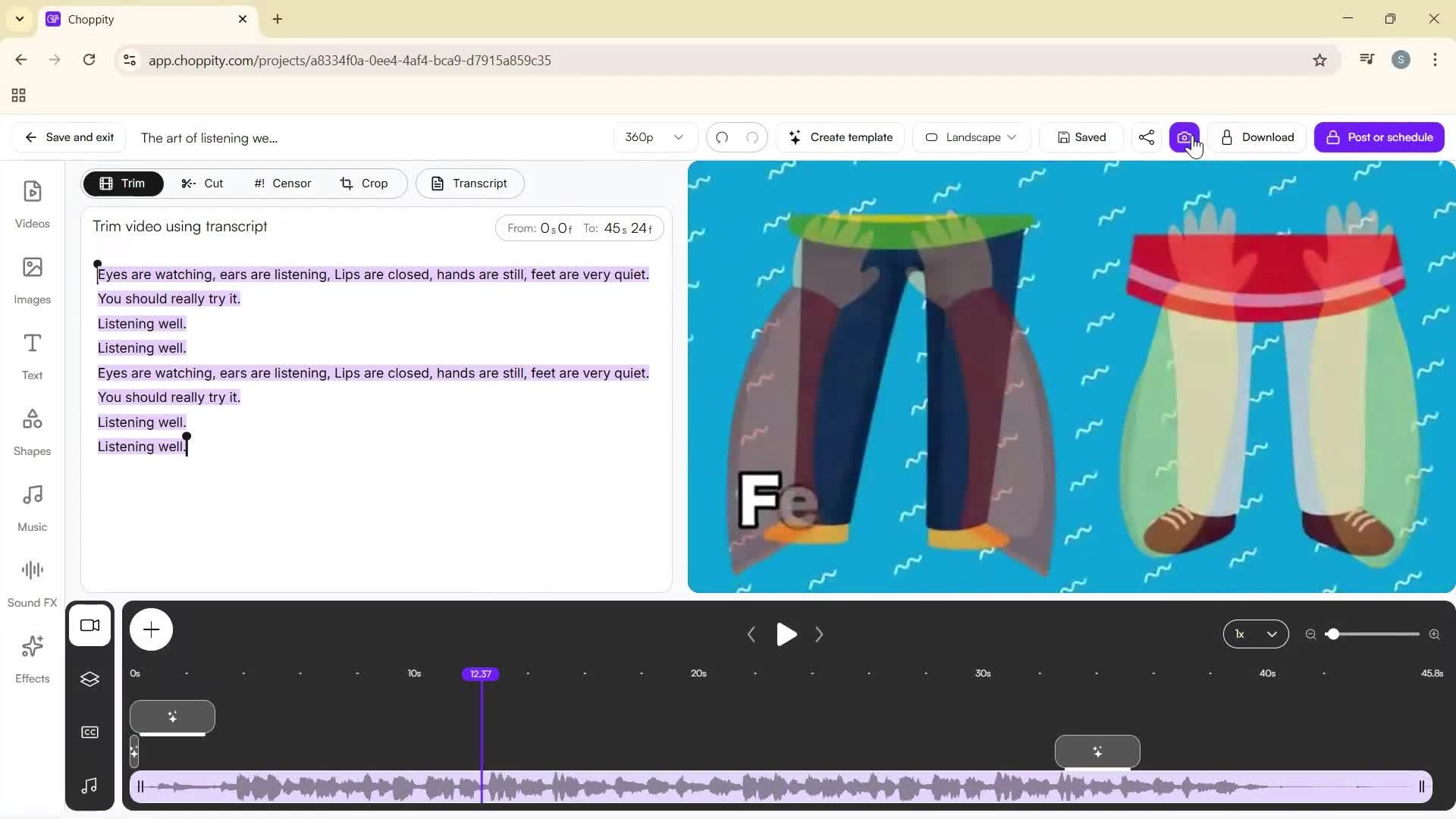 Editing a video screenshot