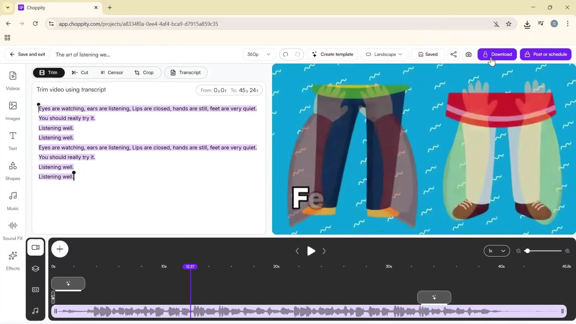 Editing a video screenshot