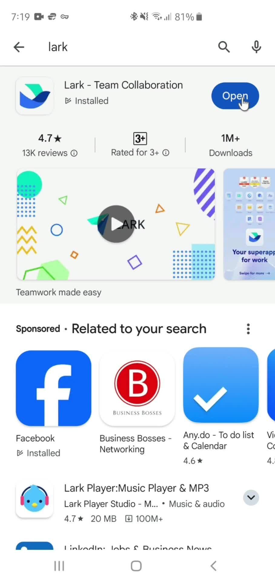Video preview