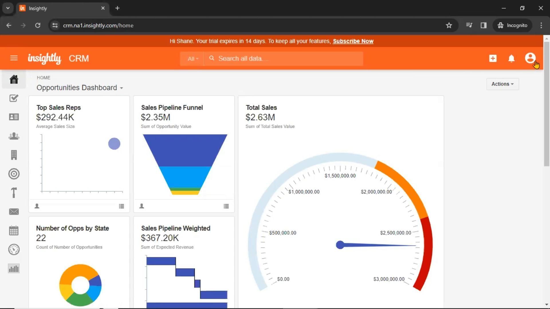 Insightly screenshot