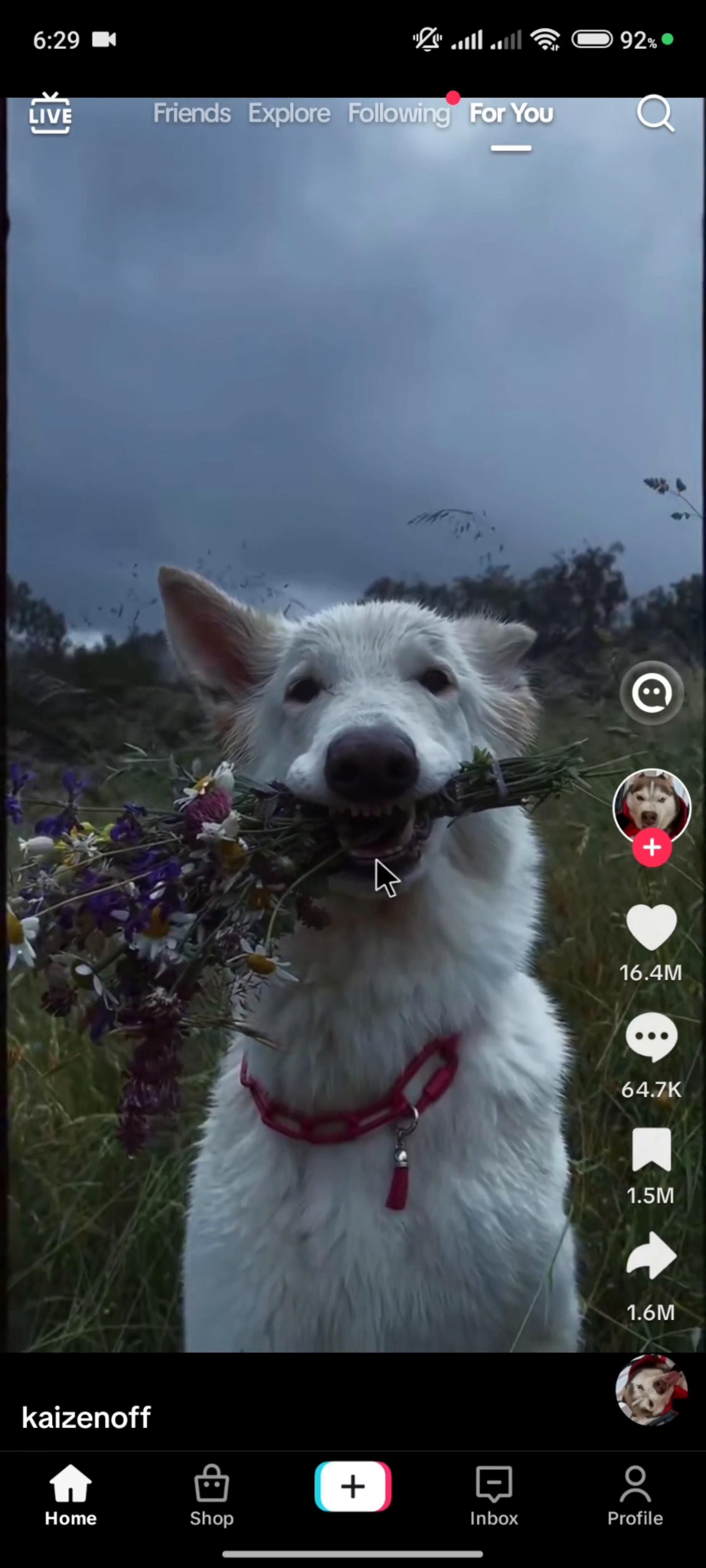Video preview