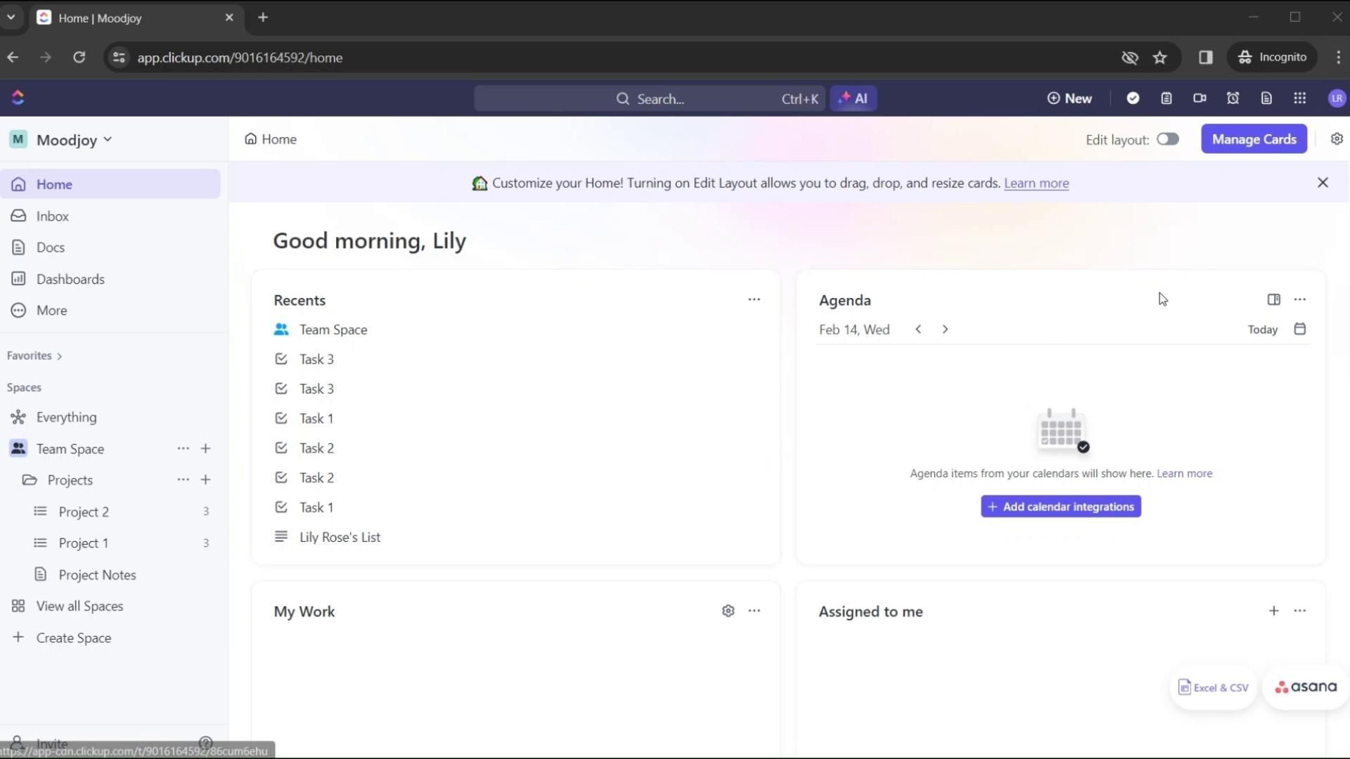 Video preview