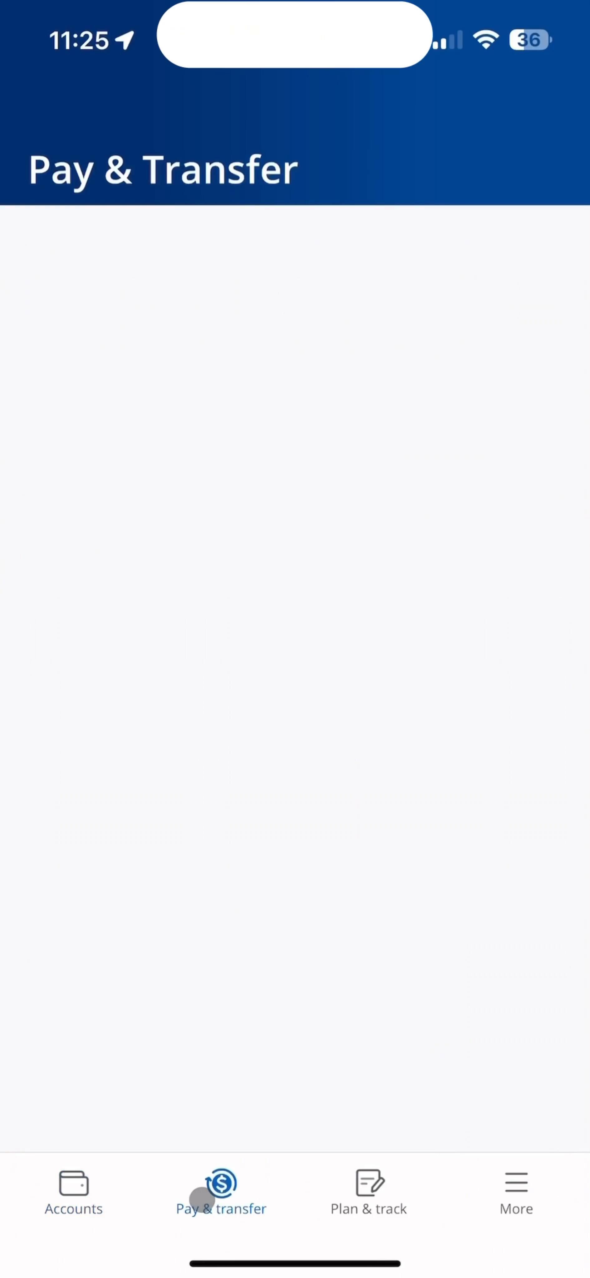 Paying on Chase video thumbnail