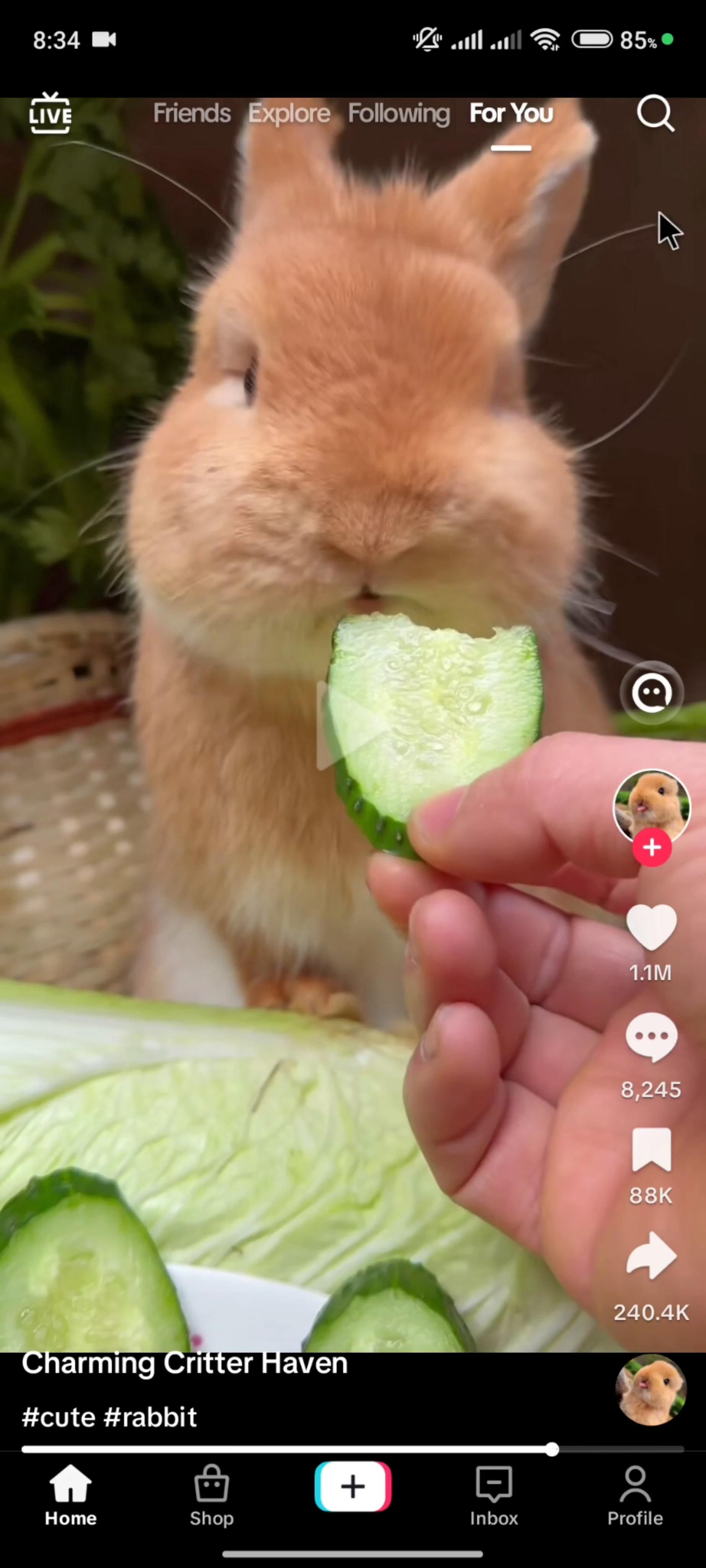 Searching on TikTok video thumbnail