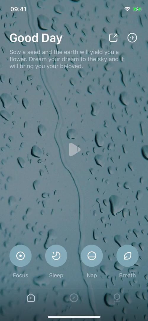 Video preview