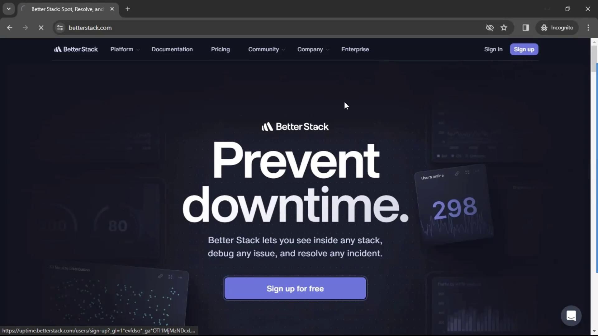 Video preview