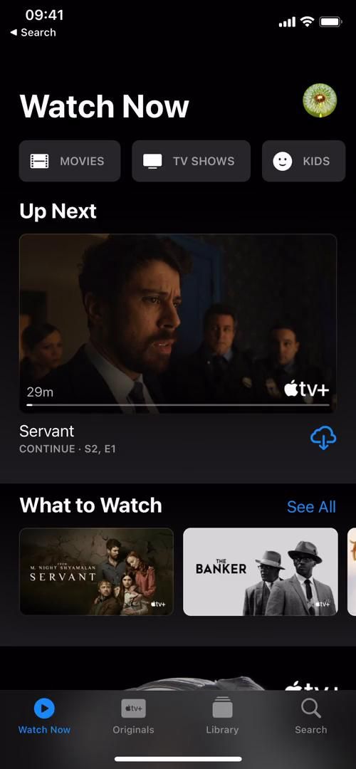 Video preview
