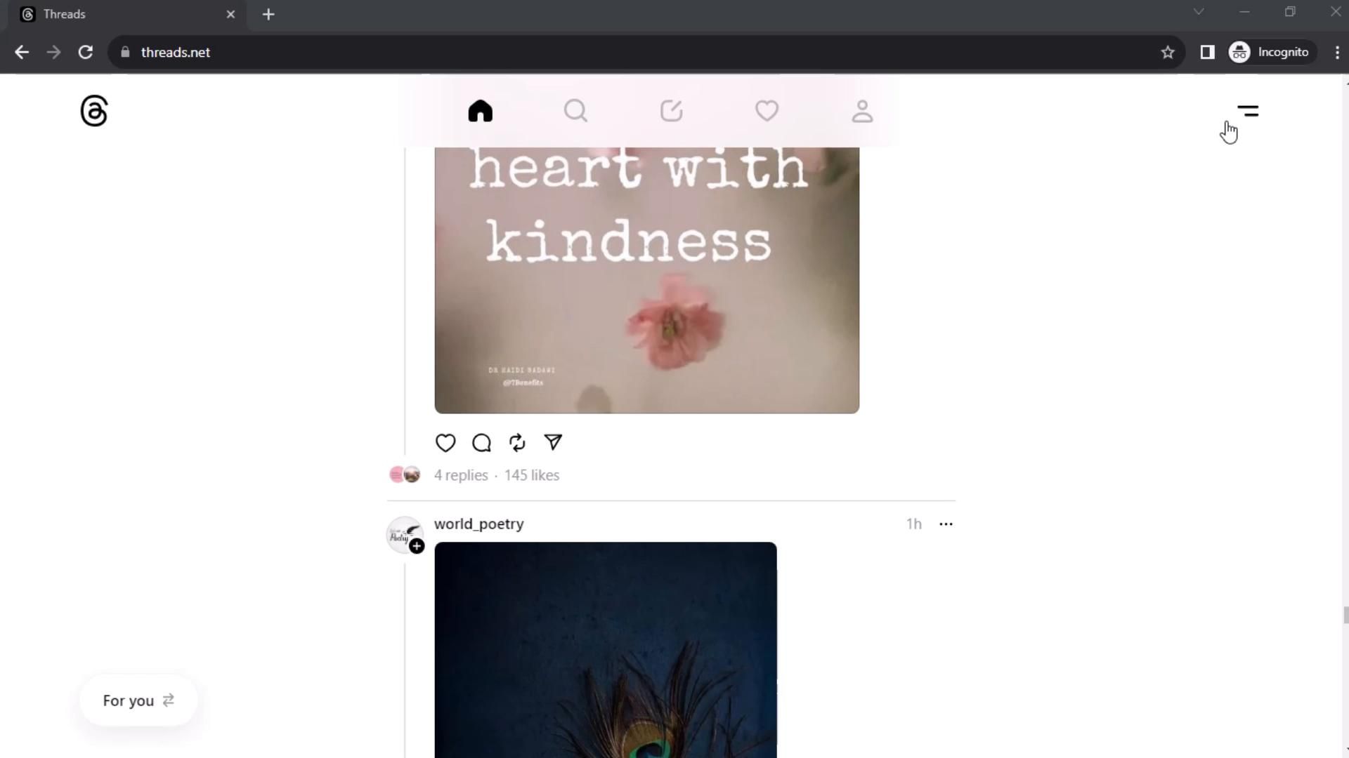 Video preview