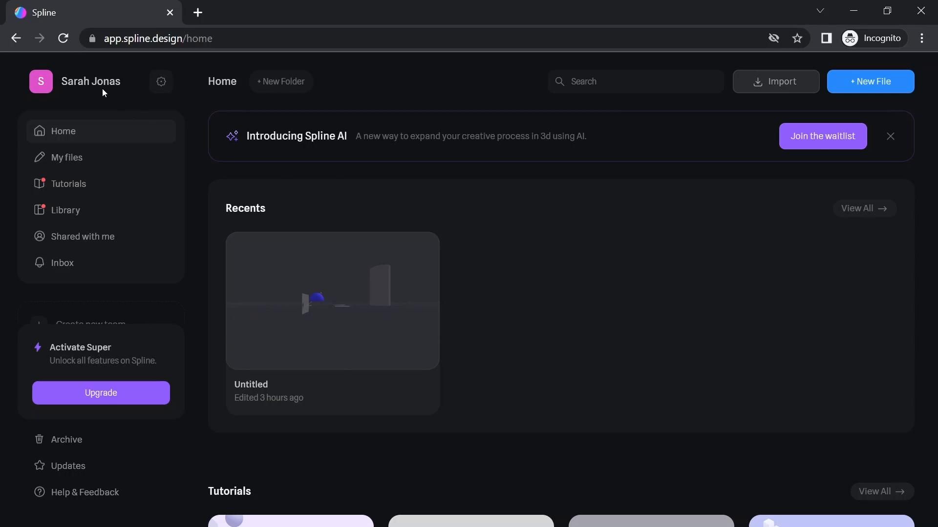 Video preview