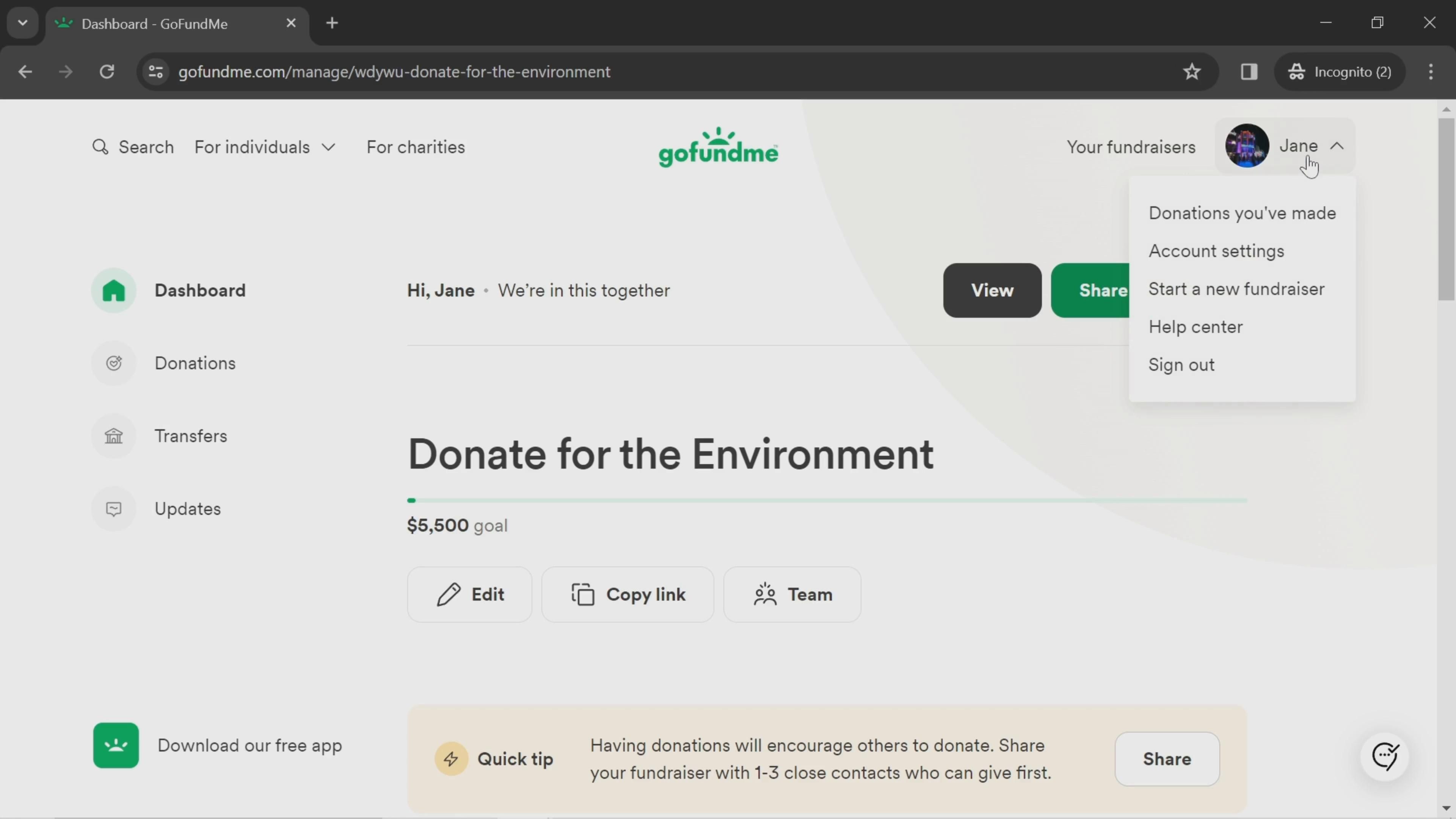 GoFundMe screenshot