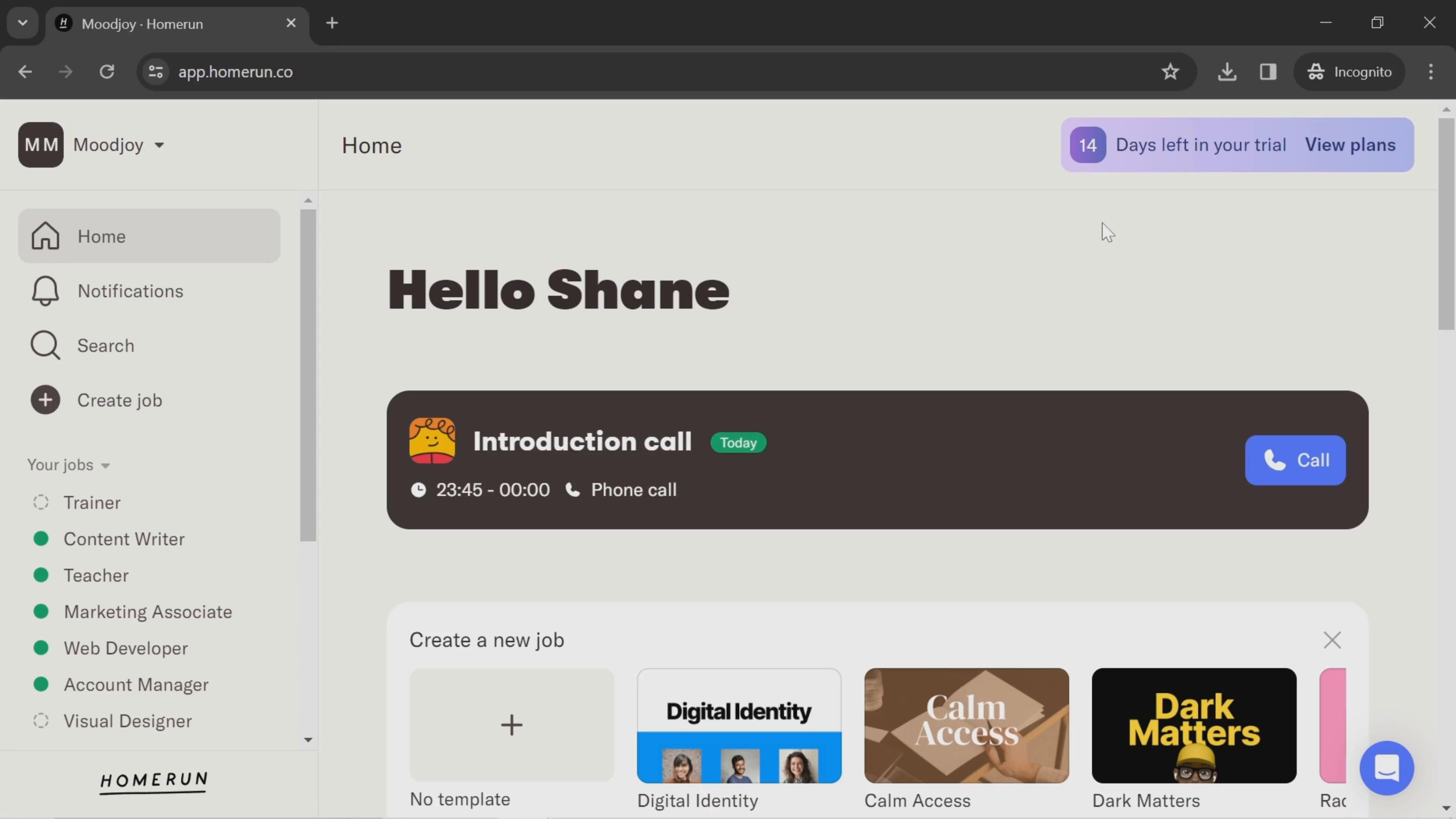 Homerun screenshot