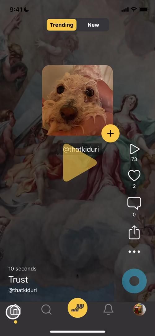 Video preview