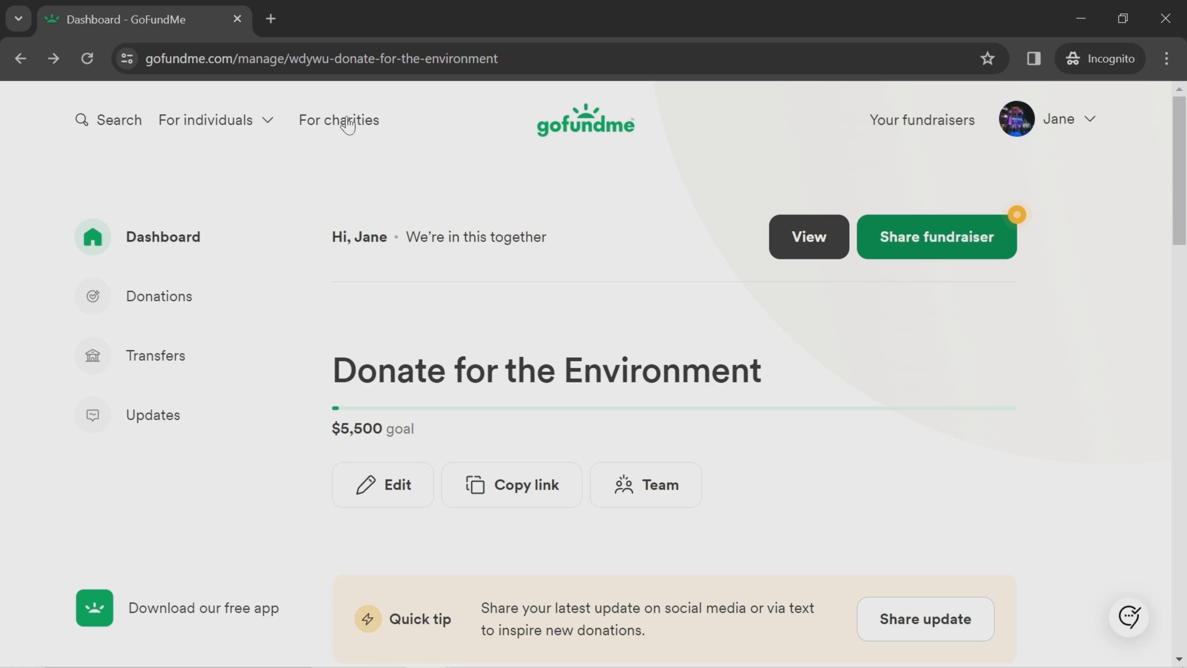 GoFundMe screenshot