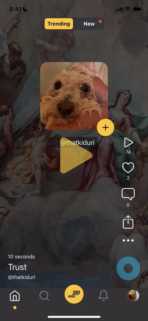 Video preview
