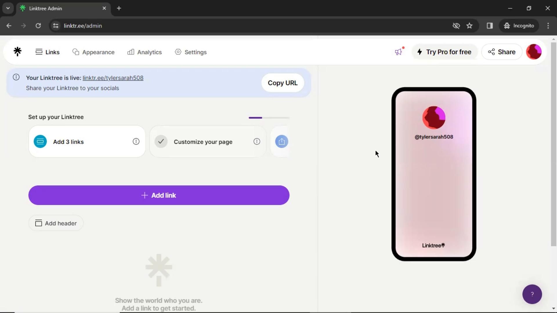 Video preview