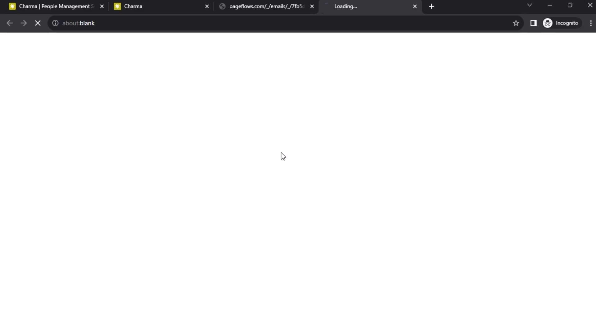 Video preview