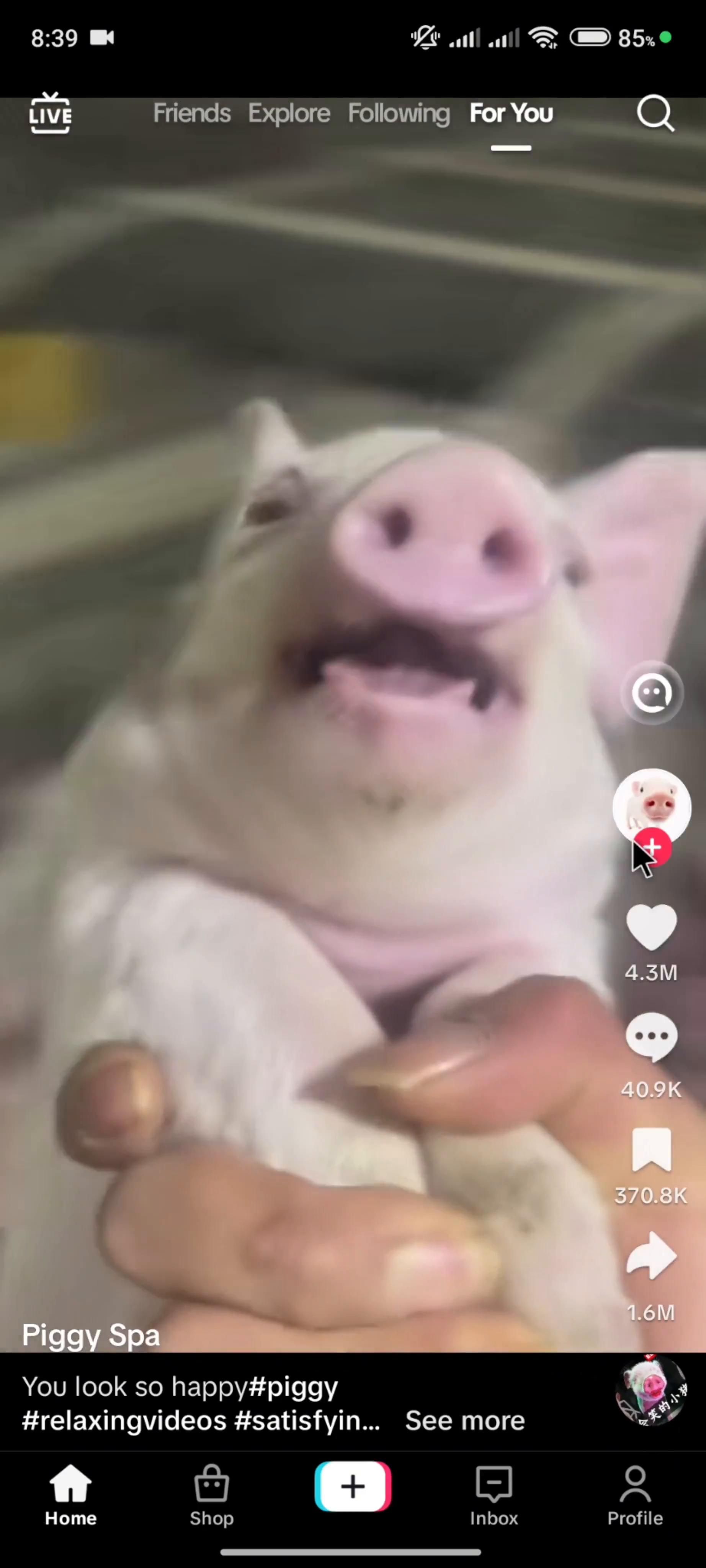 Following a user on TikTok video thumbnail