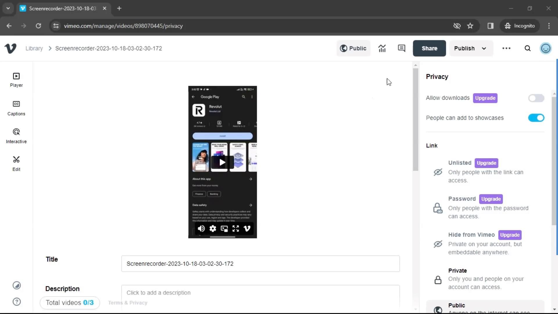 Video preview