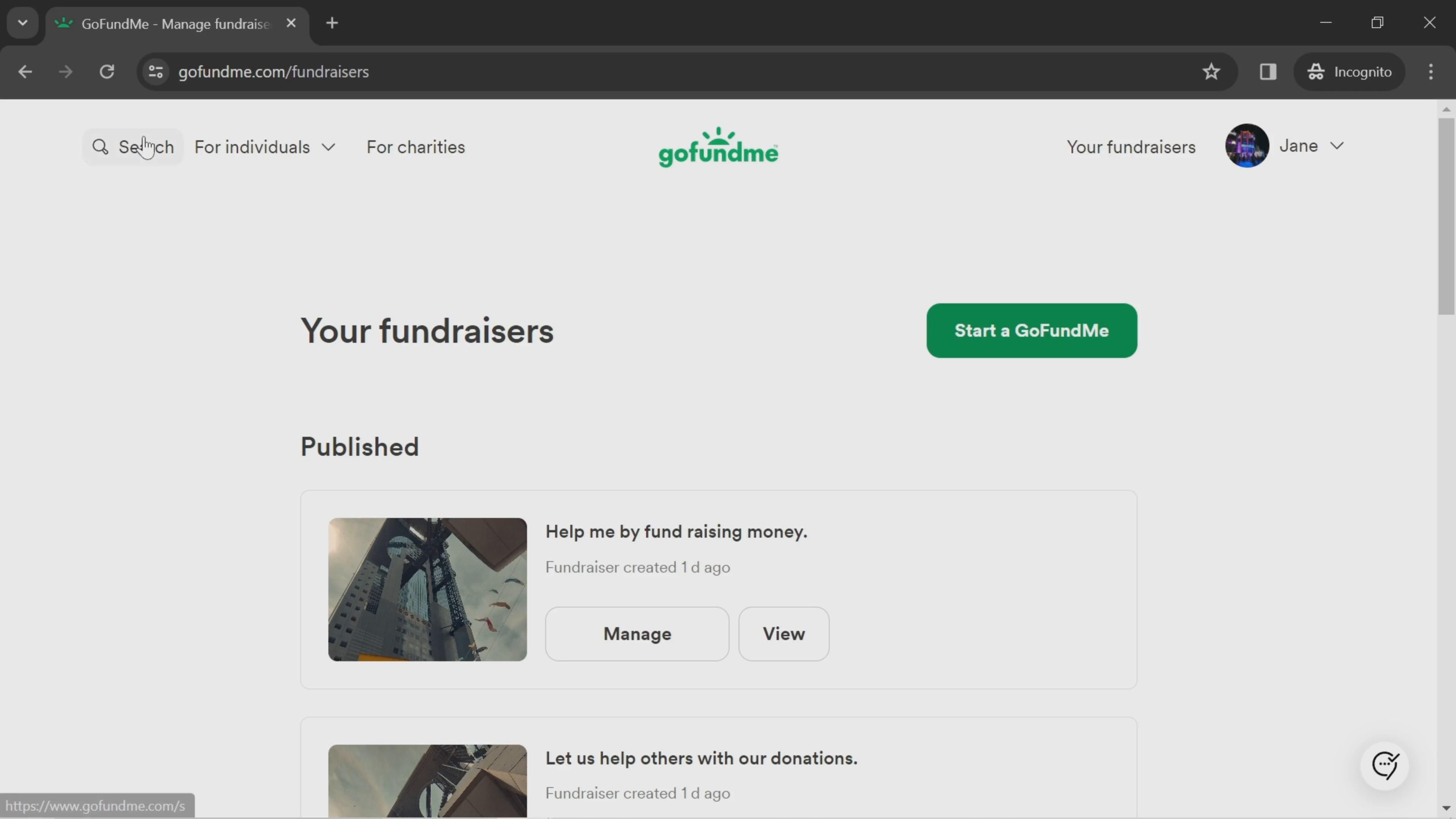 GoFundMe screenshot