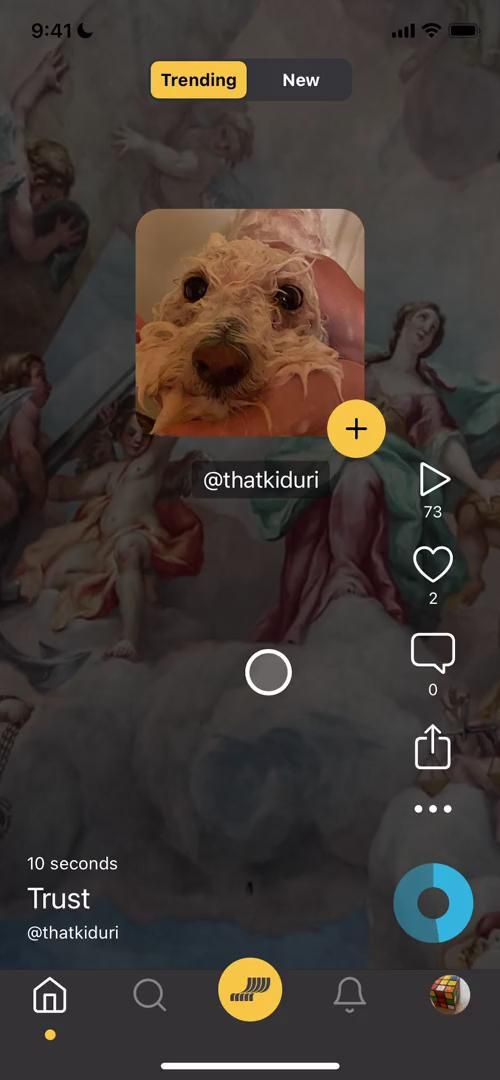 Video preview