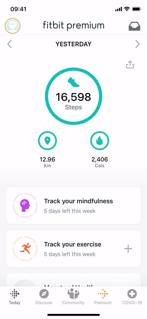 Fitbit screenshot