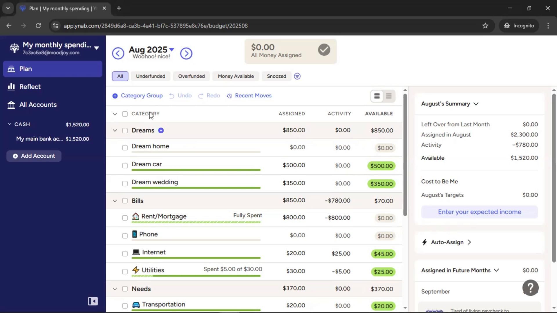 General browsing on YNAB video thumbnail