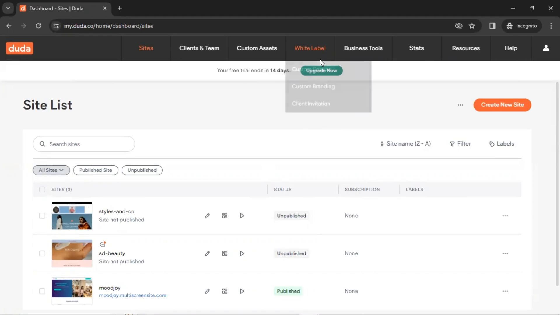 Customizing email invitation on Duda video thumbnail