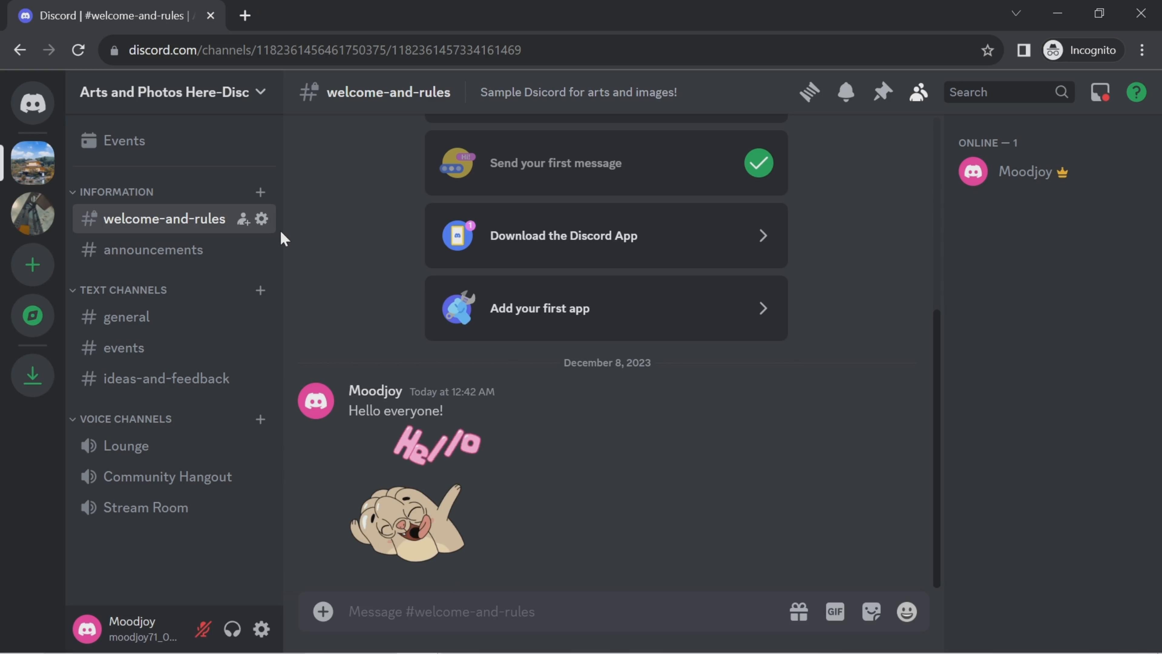 Video preview