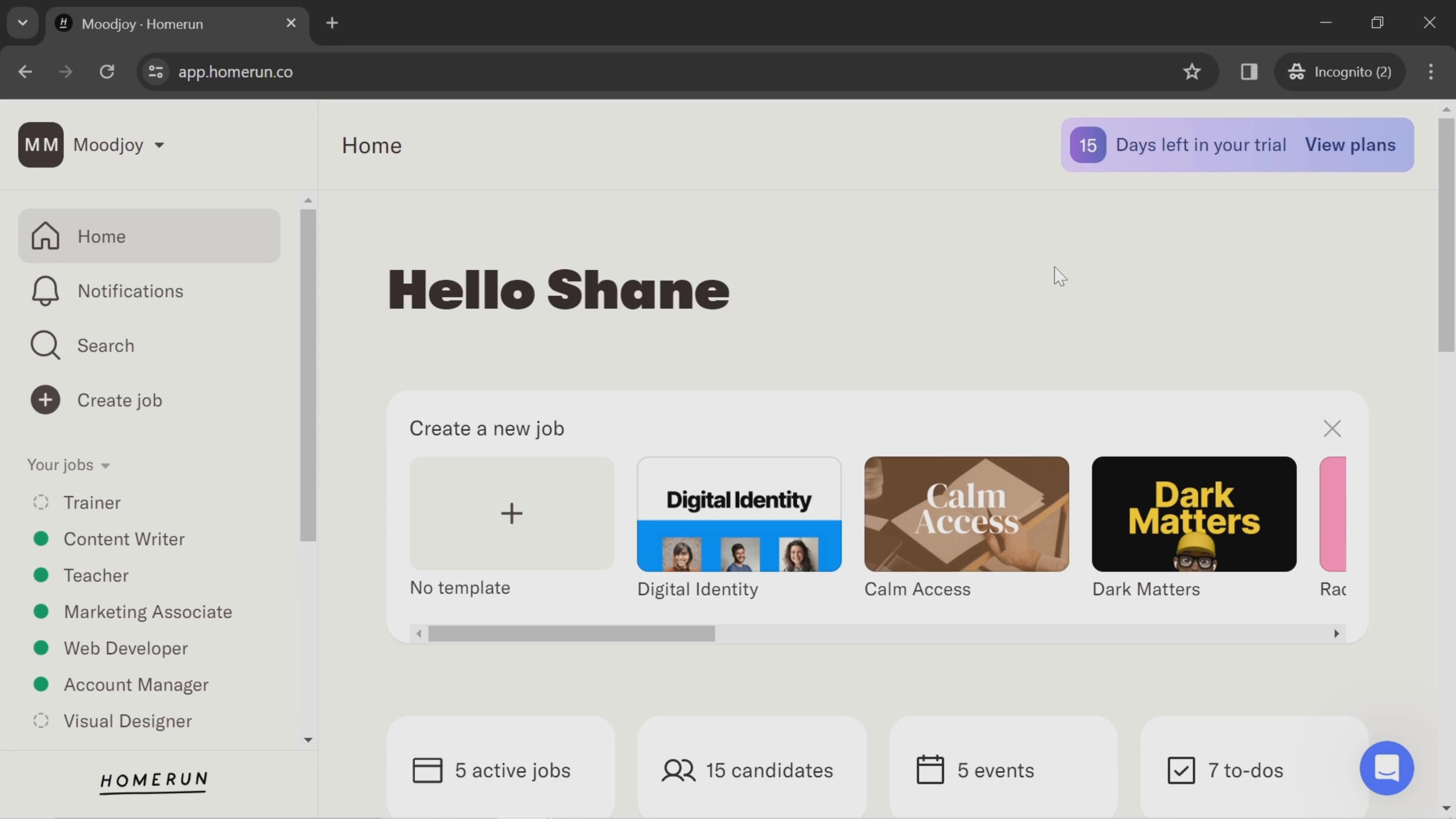 Homerun screenshot